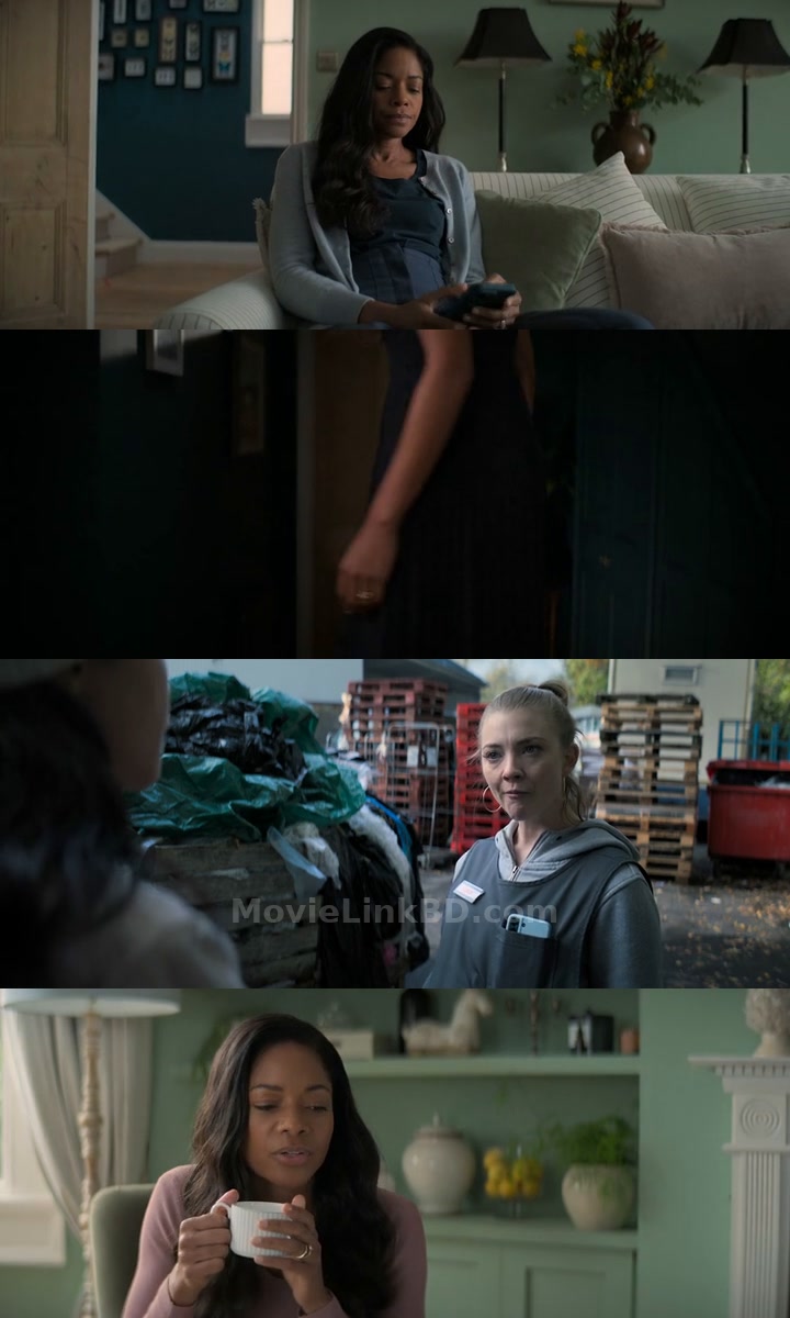 The Wasp (2024) &bull; English on MovieLinkBD Movie