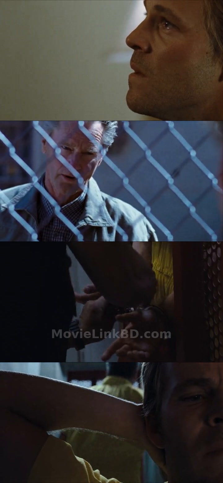 Felon (2008) &bull; Hindi + English on MovieLinkBD Movie
