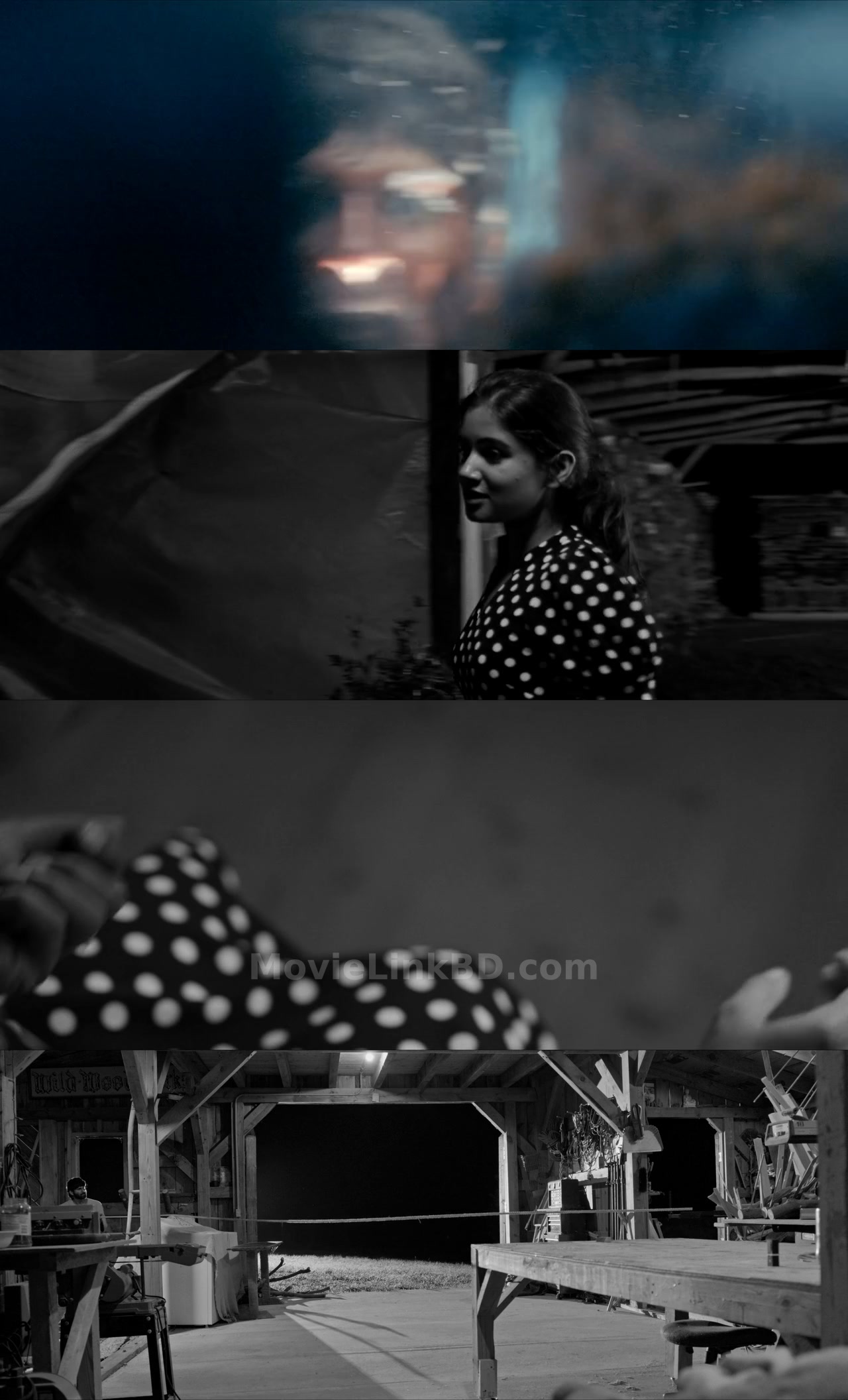 Not All Movies Are the Same: Dual (2025) &bull; Hindi + Telugu on MovieLinkBD Movie