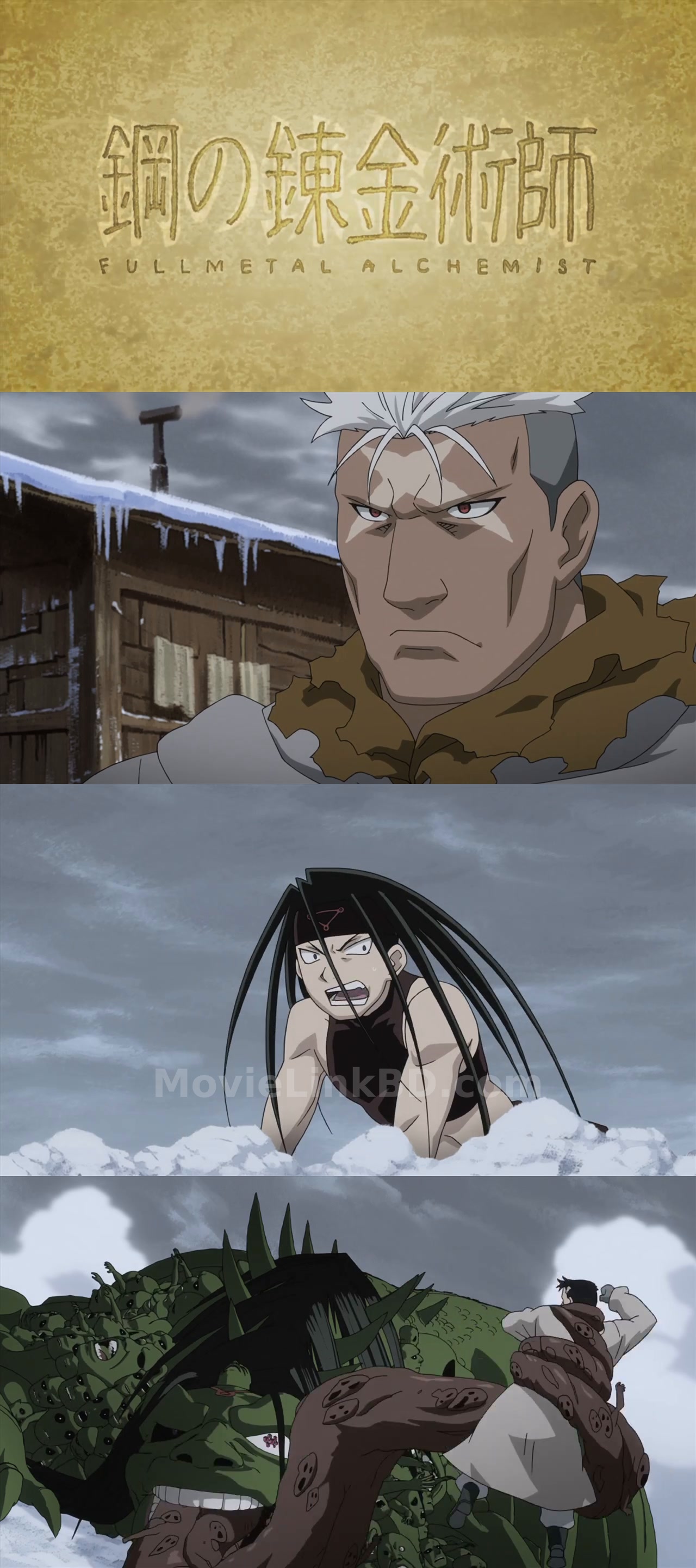 Fullmetal Alchemist: Brotherhood  [S01 Ep1-64 Complete Hindi ORG ] (2009) &mdash; S01 &bull; Hindi + Dual Audio + Japanese on MovieLinkBD Episode 43