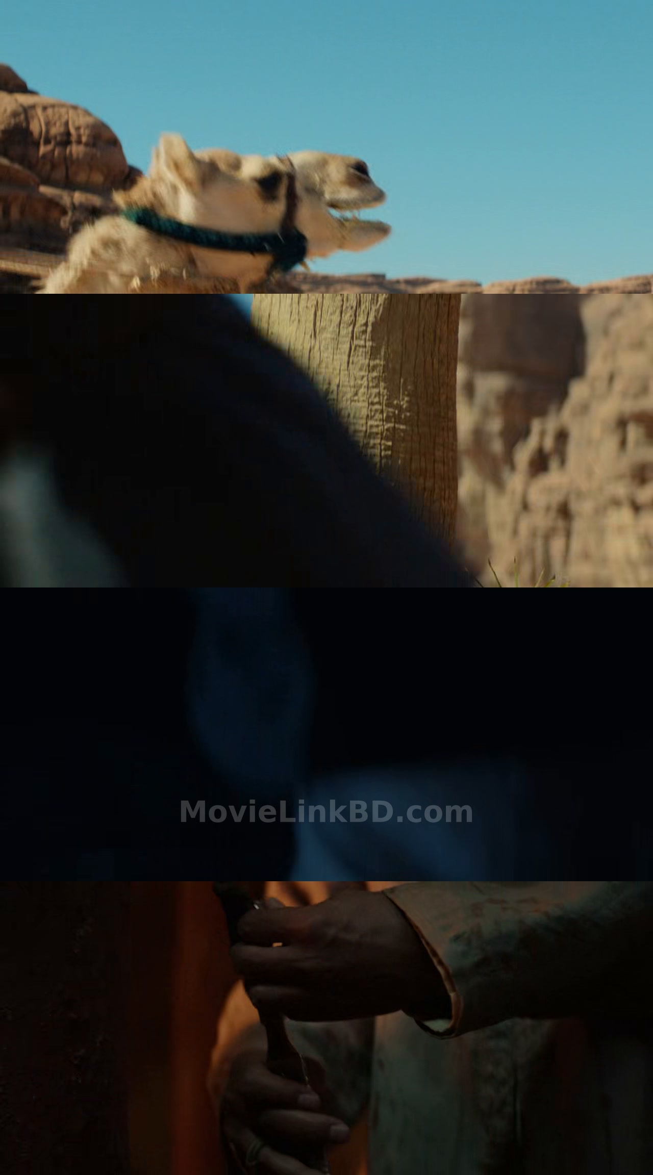 Desert Warrior  Full HD Hindi ORG (2026) &bull; Hindi + English + Dual Audio on MovieLinkBD Movie