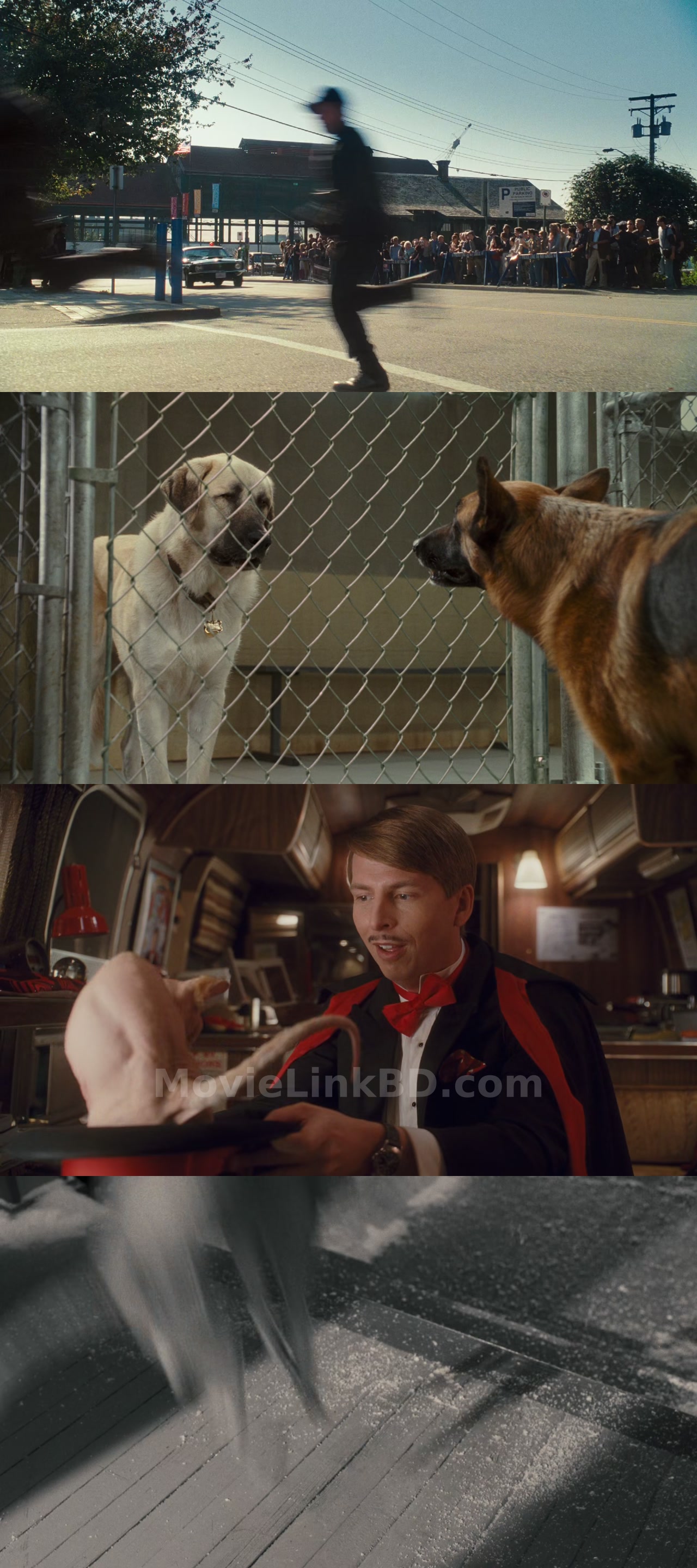 Cats &amp; Dogs: The Revenge of Kitty Galore (2010) &bull; English + Hindi on MovieLinkBD Movie
