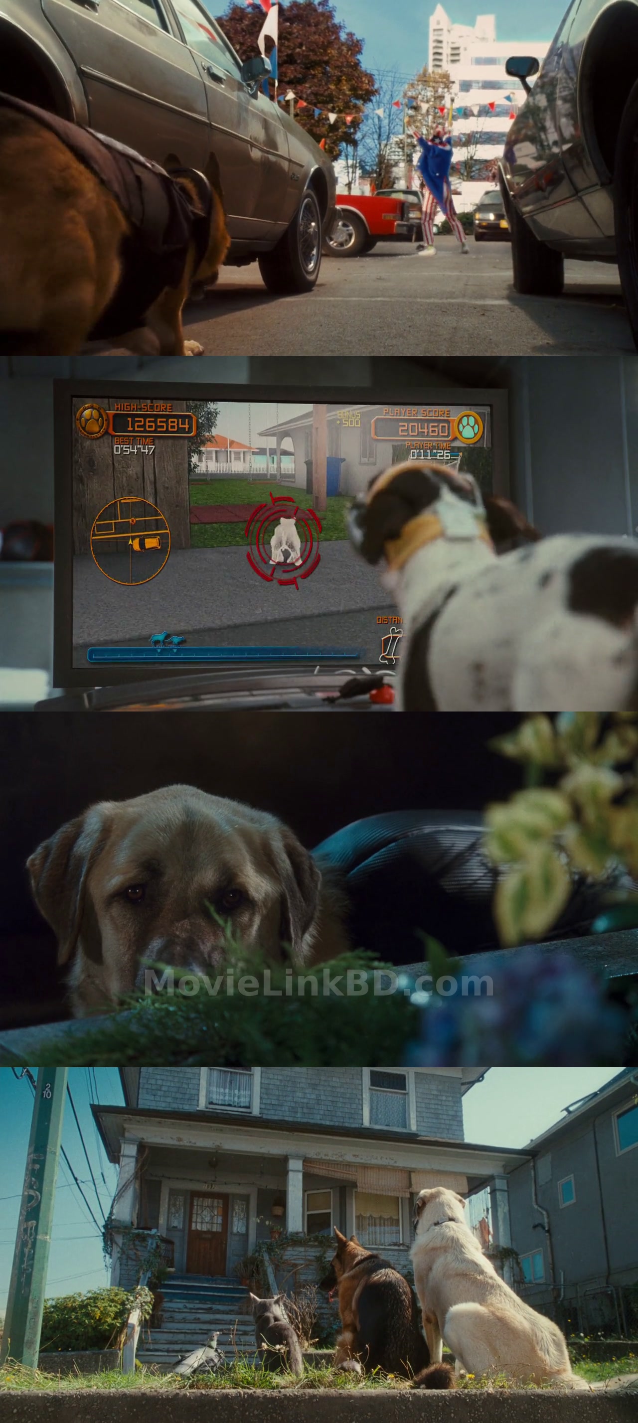 Cats &amp; Dogs: The Revenge of Kitty Galore (2010) &bull; English + Hindi on MovieLinkBD Movie