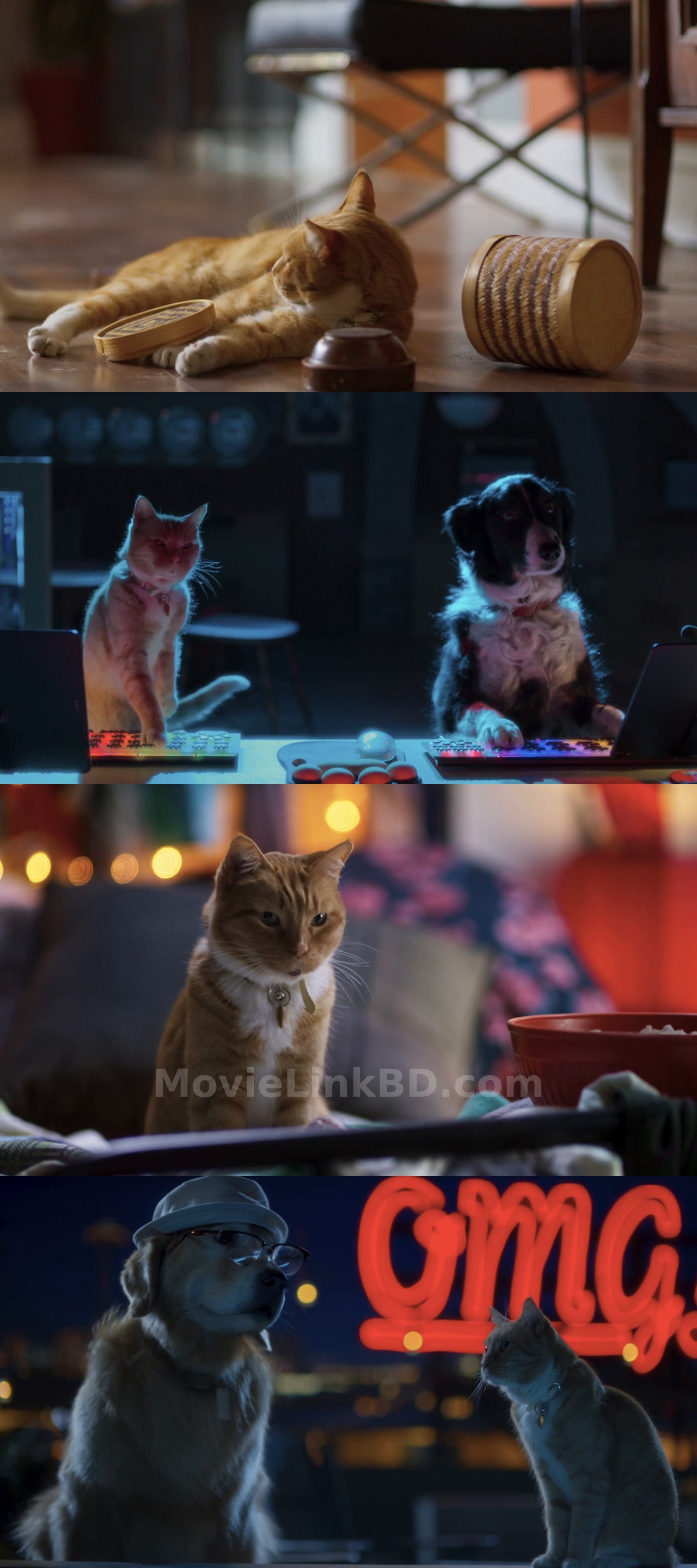 Cats &amp; Dogs 3: Paws Unite  - Cats &amp; Dogs 3: Paws Unite! (2020) &bull; Hindi + English on MovieLinkBD Movie
