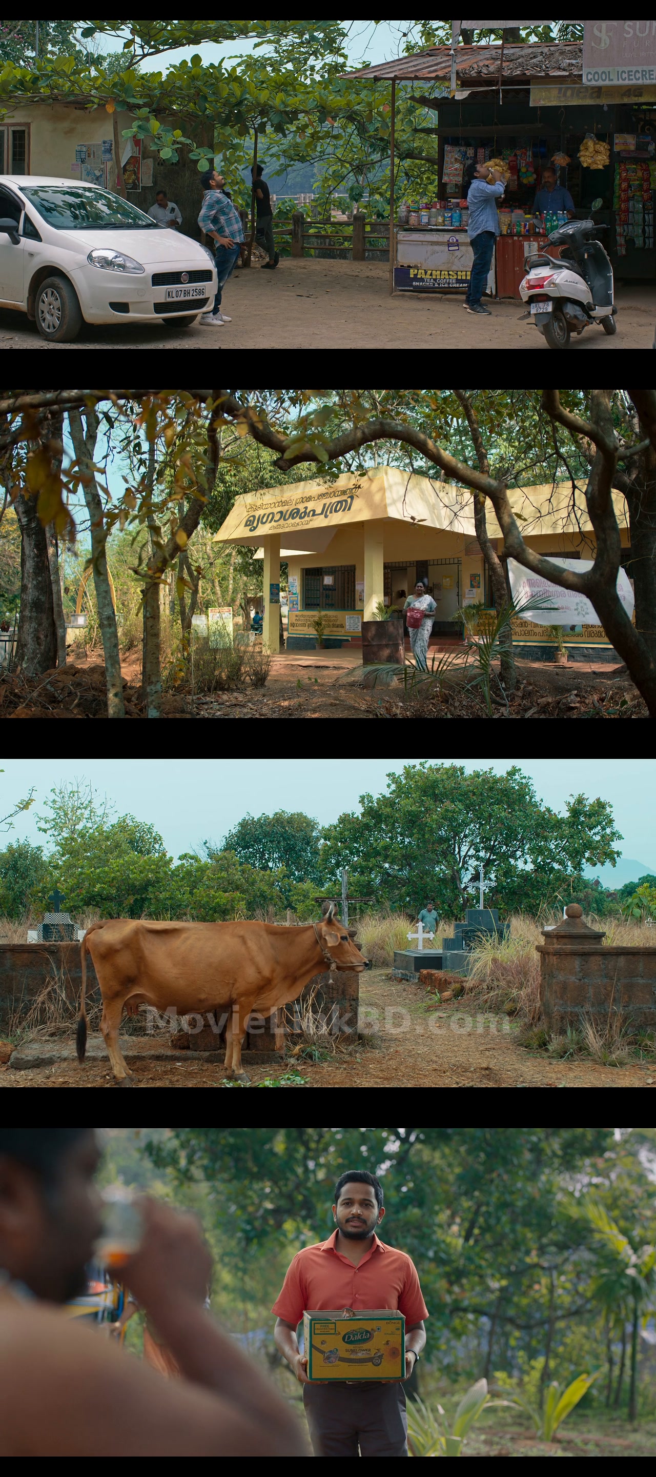 Palthu Janwar (2022) &bull; Hindi + Tamil + Telugu + Malayalam on MovieLinkBD Movie