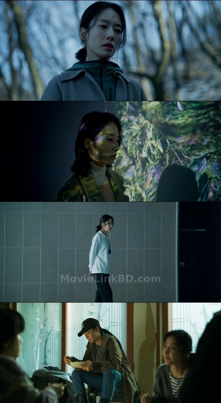 Somebody  Hindi ORG (2025) &bull; Hindi + Korean on MovieLinkBD Movie