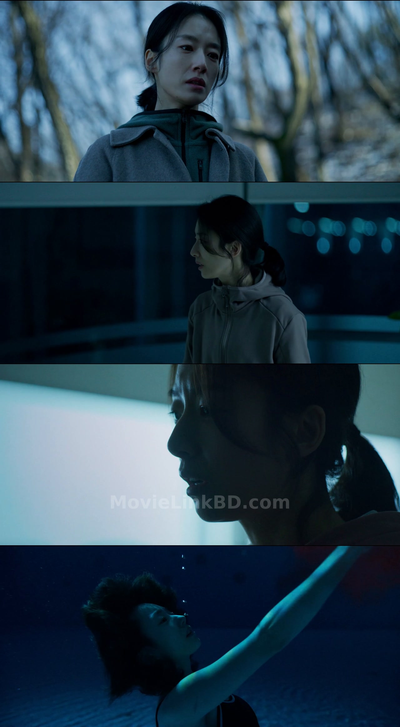 Somebody  Hindi ORG (2025) &bull; Hindi + Korean on MovieLinkBD Movie