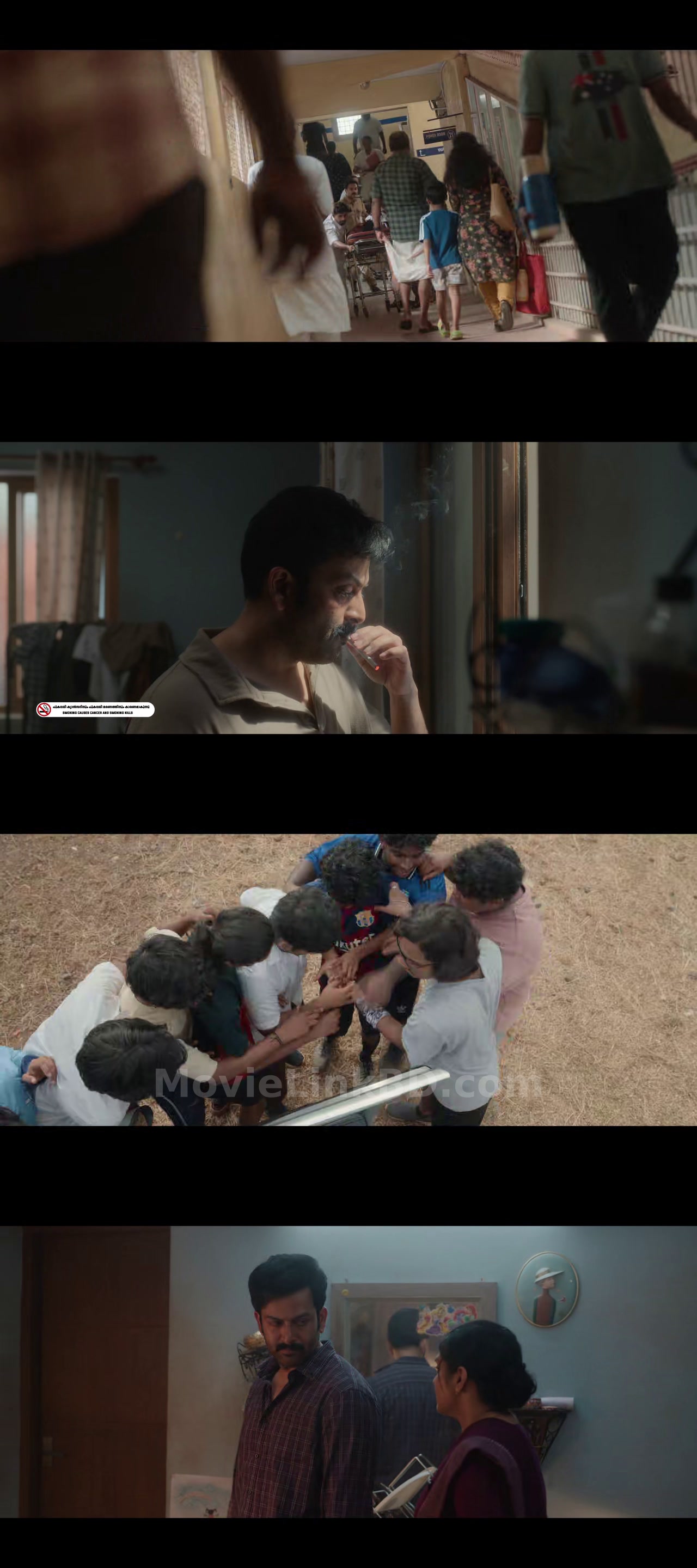I, Nobody  [ORG Hindi] (2026) &bull; Hindi + Malayalam on MovieLinkBD Movie