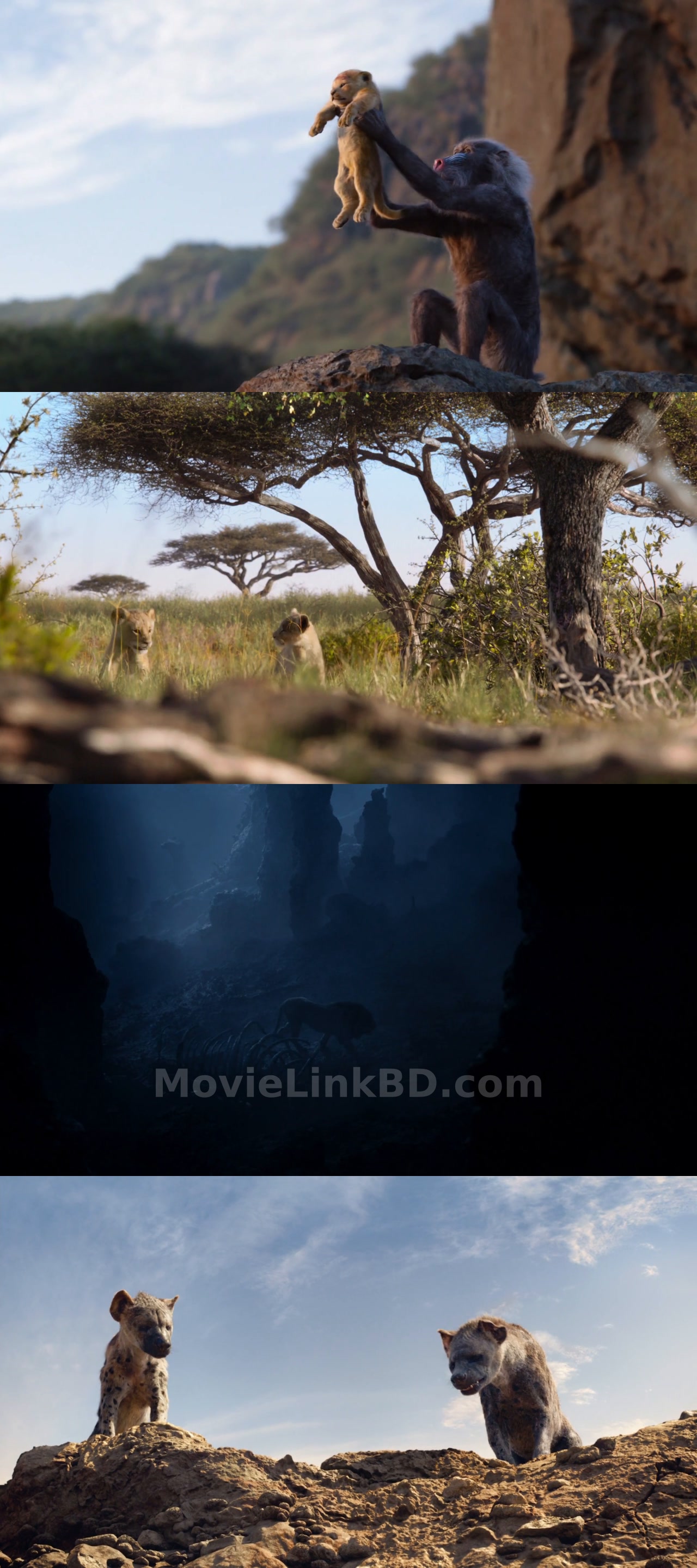 The Lion King (2019) English Download | MovieLinkBD TV Movie