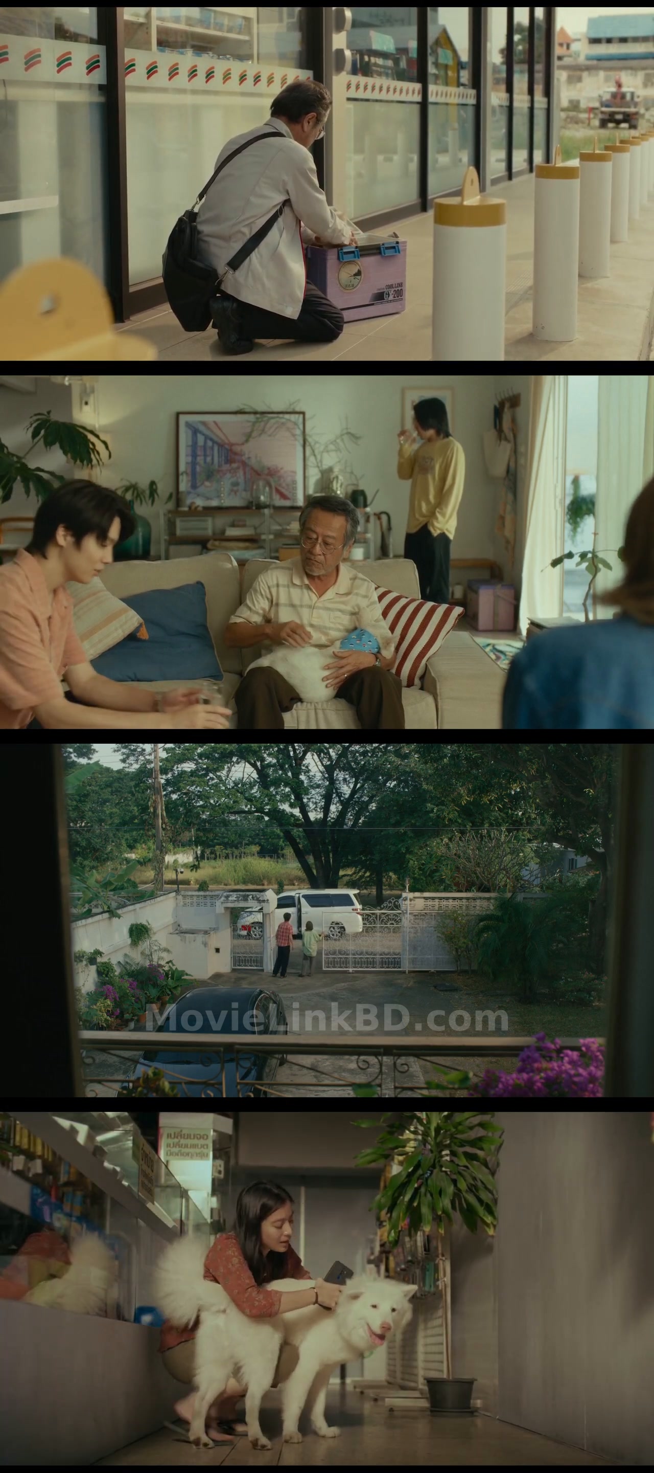 Gohan  With Bangla Subtitle (2026) &bull; th on MovieLinkBD Movie