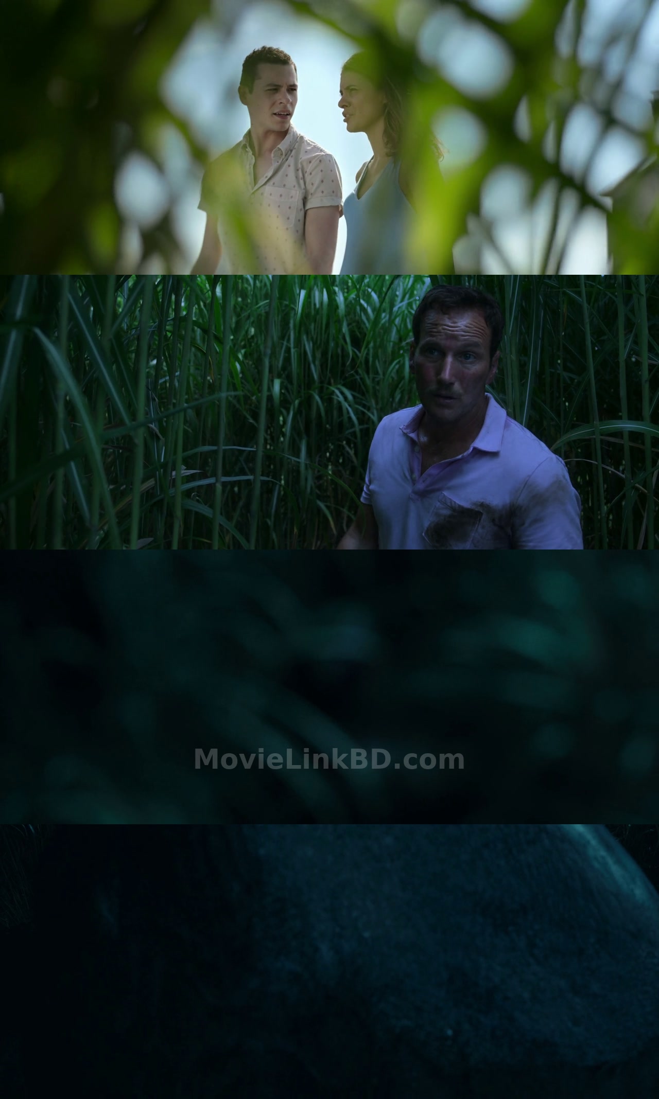 In the Tall Grass (2019) English Download | MovieLinkBD TV Movie