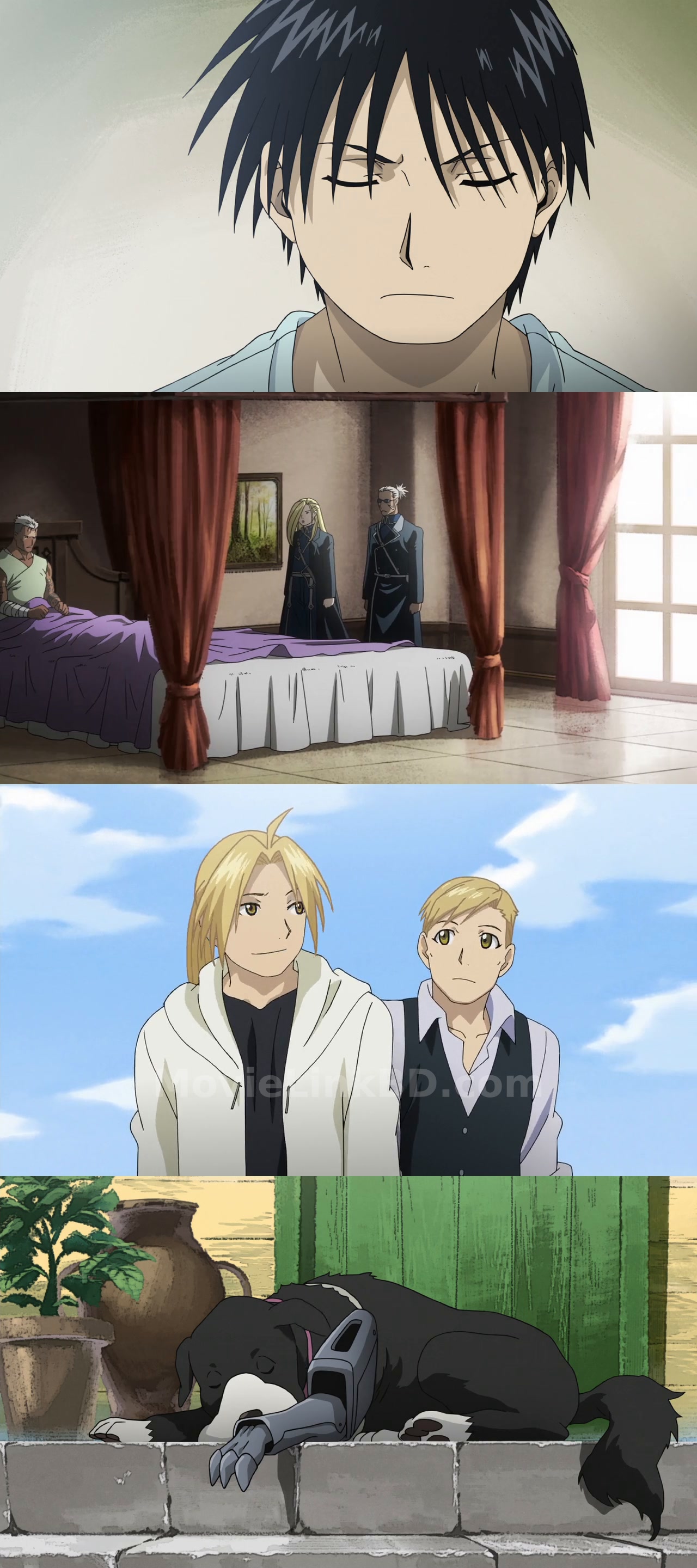 Fullmetal Alchemist: Brotherhood  [S01 Ep1-64 Complete Hindi ORG ] (2009) &mdash; S01 &bull; Hindi + Dual Audio + Japanese on MovieLinkBD Episode 64
