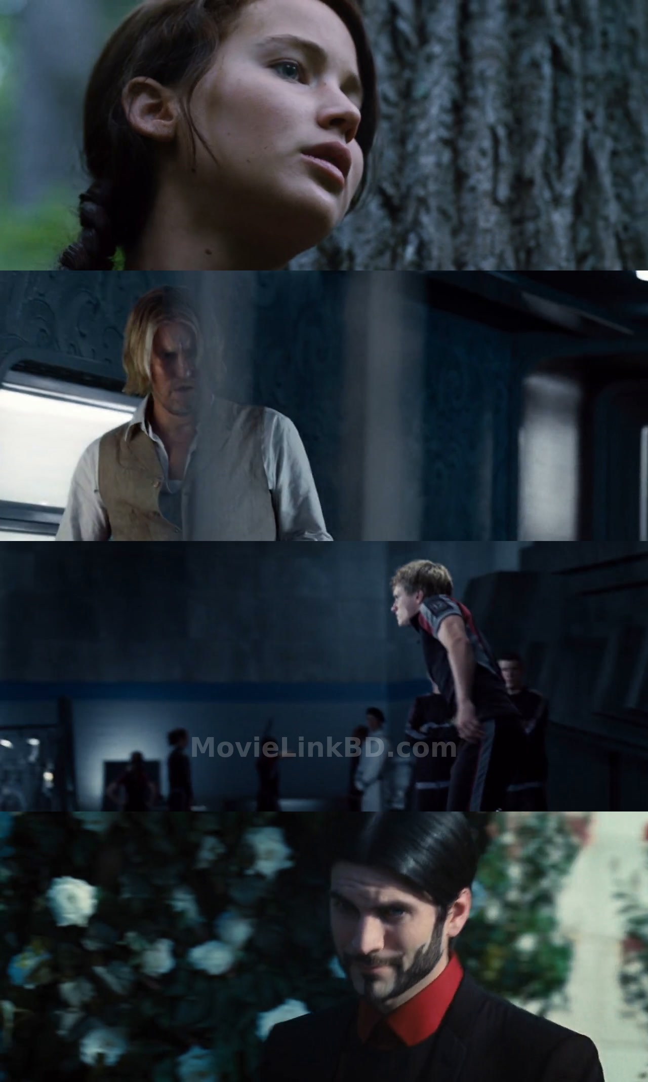The Hunger Games (2012) &bull; Hindi + Dual Audio on MovieLinkBD Movie