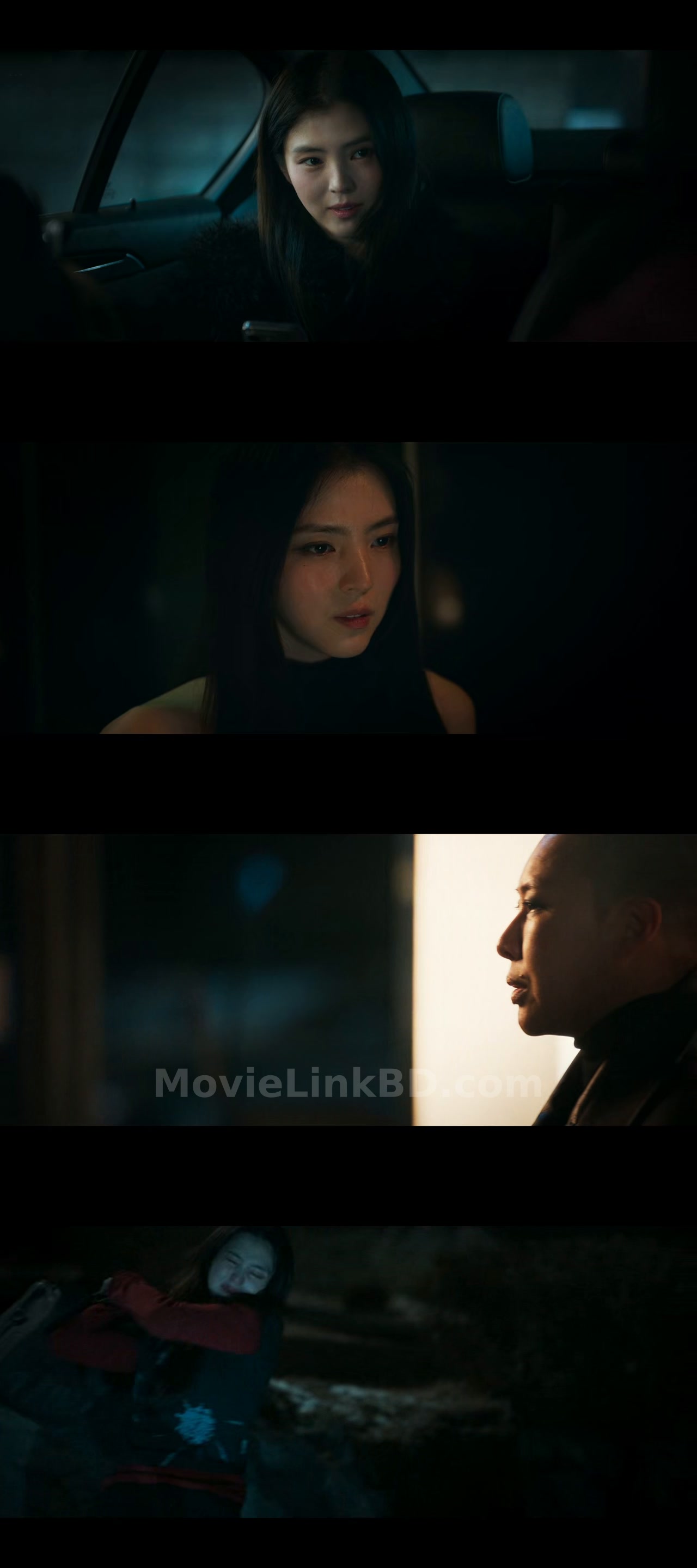 Project Y  Full HD Hindi ORG (2025) &bull; Korean + Hindi on MovieLinkBD Movie