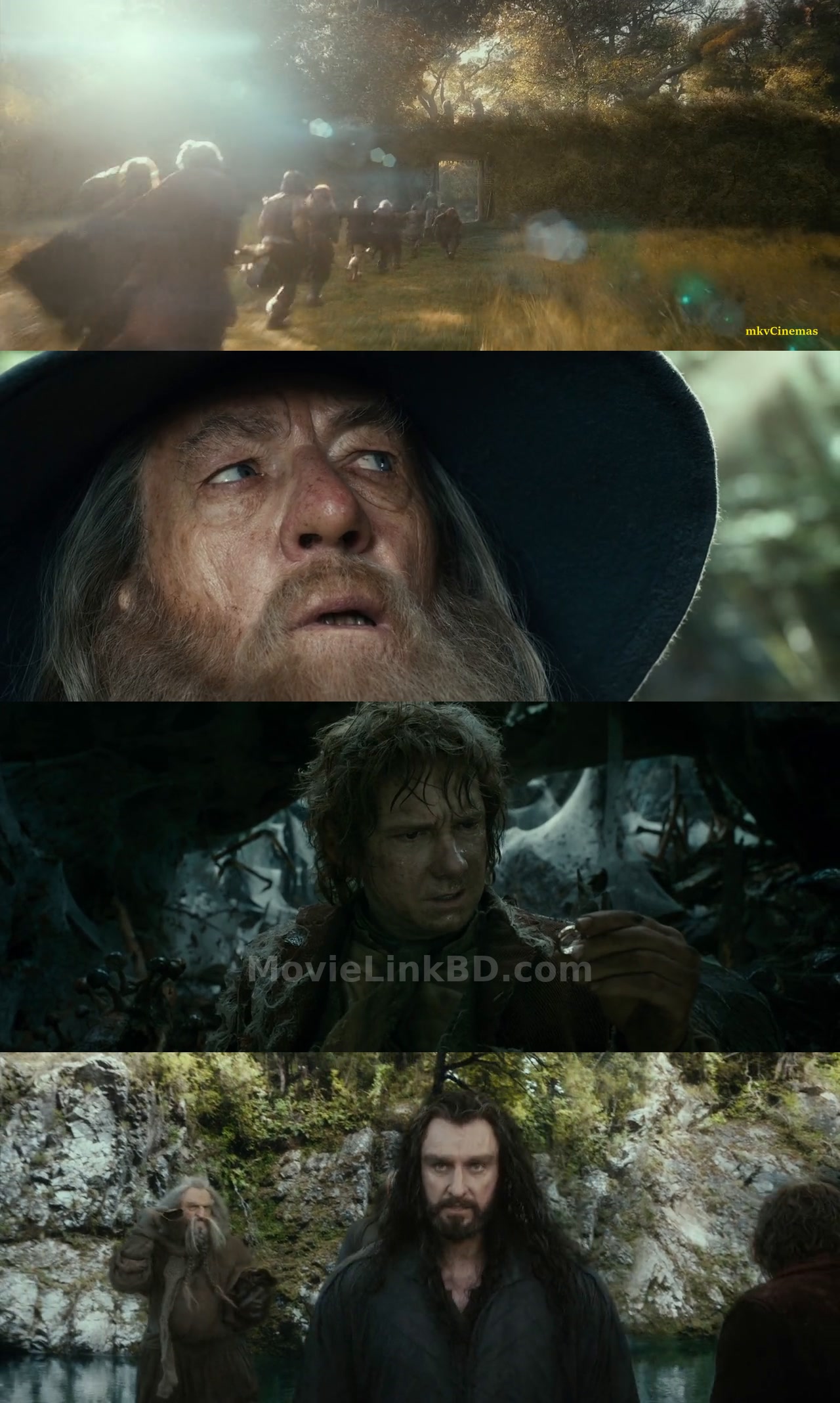 The Hobbit: The Desolation of Smaug (2013) &bull; Hindi, English, Dual Audio on MovieLinkBD Movie