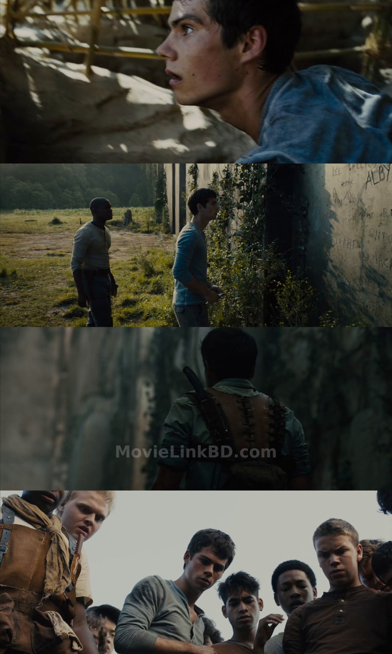 The Maze Runner (2014) English Download | MovieLinkBD TV Movie