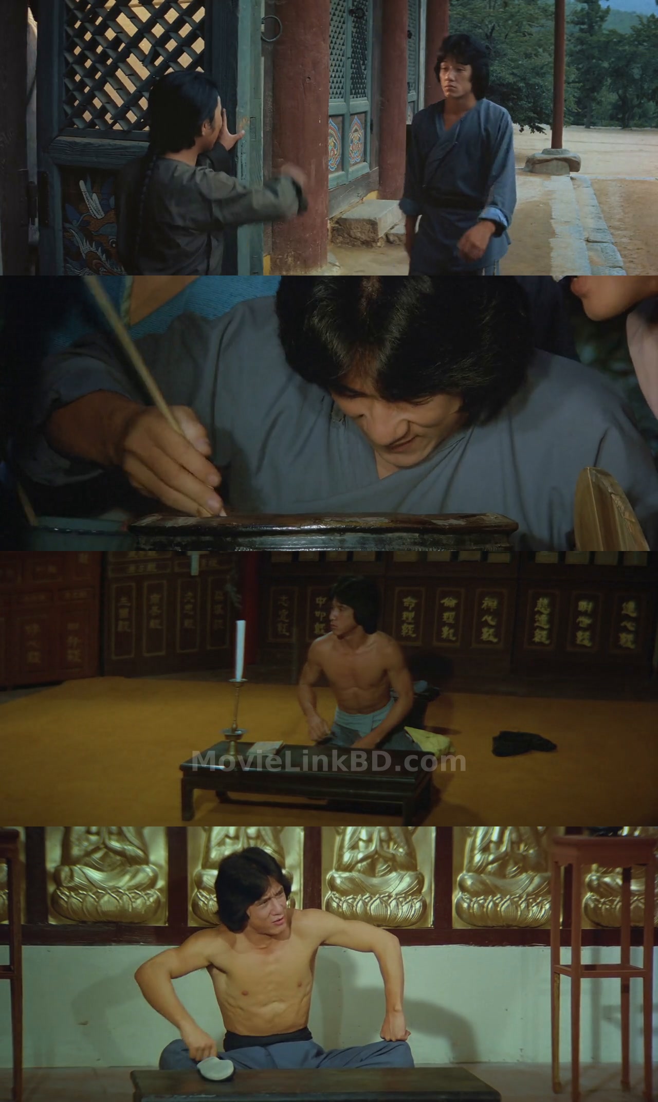 Spiritual Kung Fu (1978) &bull; Hindi Dubbed on MovieLinkBD Movie