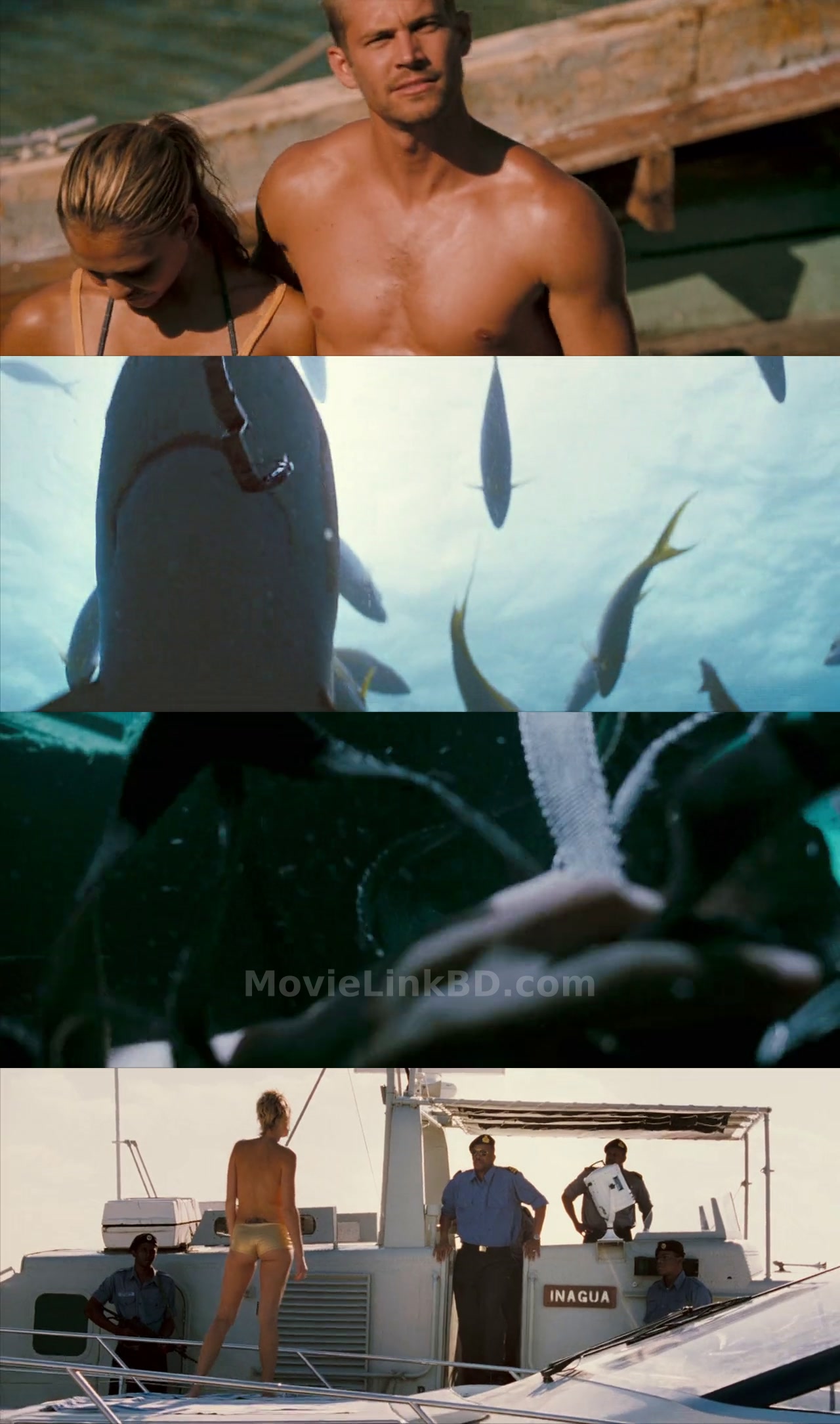 Into the Blue (2005) &bull; English on MovieLinkBD Movie