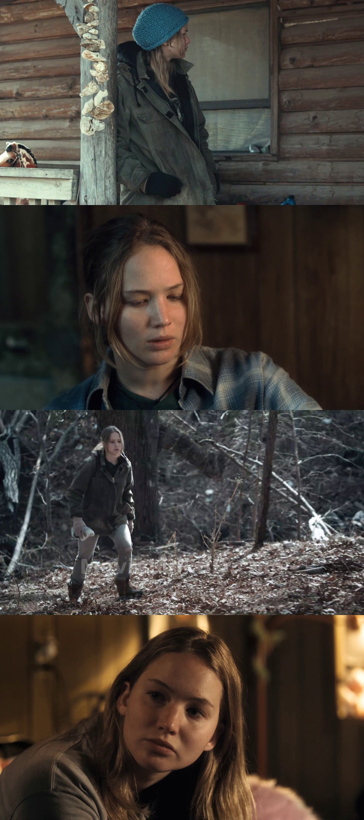 Winter's Bone (2010) &bull; English on MovieLinkBD Movie