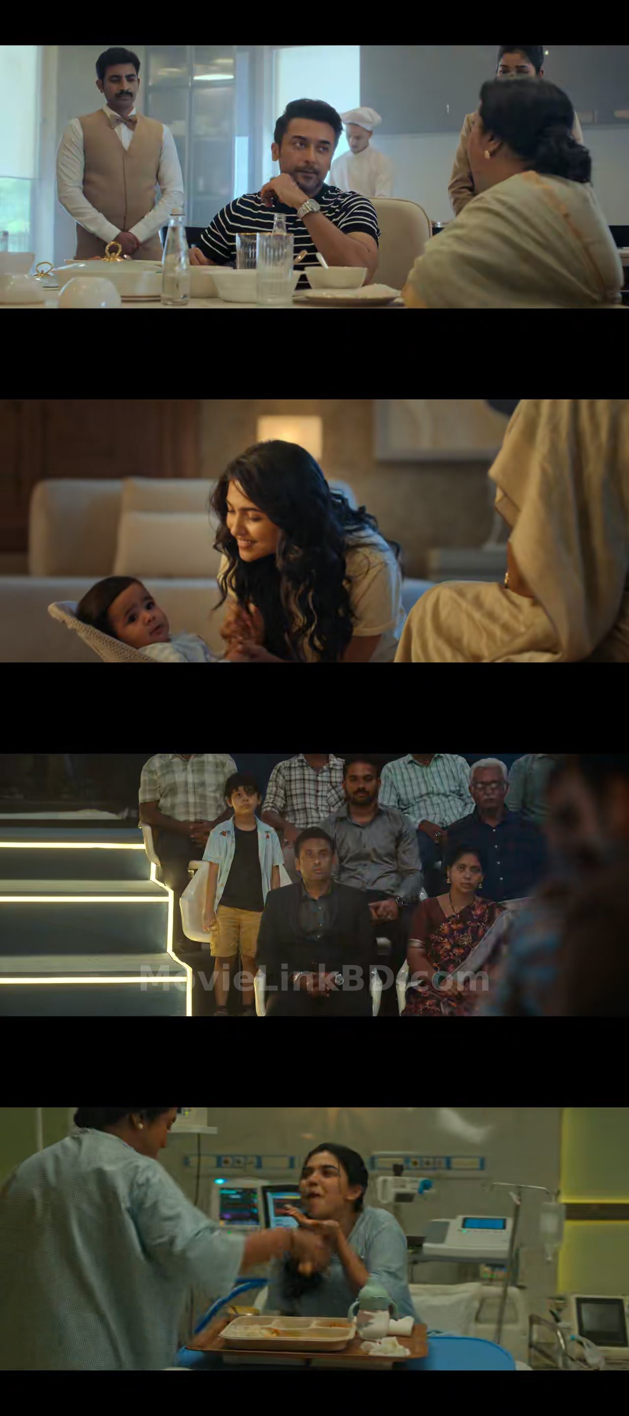 Vishwanath &amp; Sons  [ORG Hindi] (2026) &bull; Hindi + Tamil on MovieLinkBD Movie