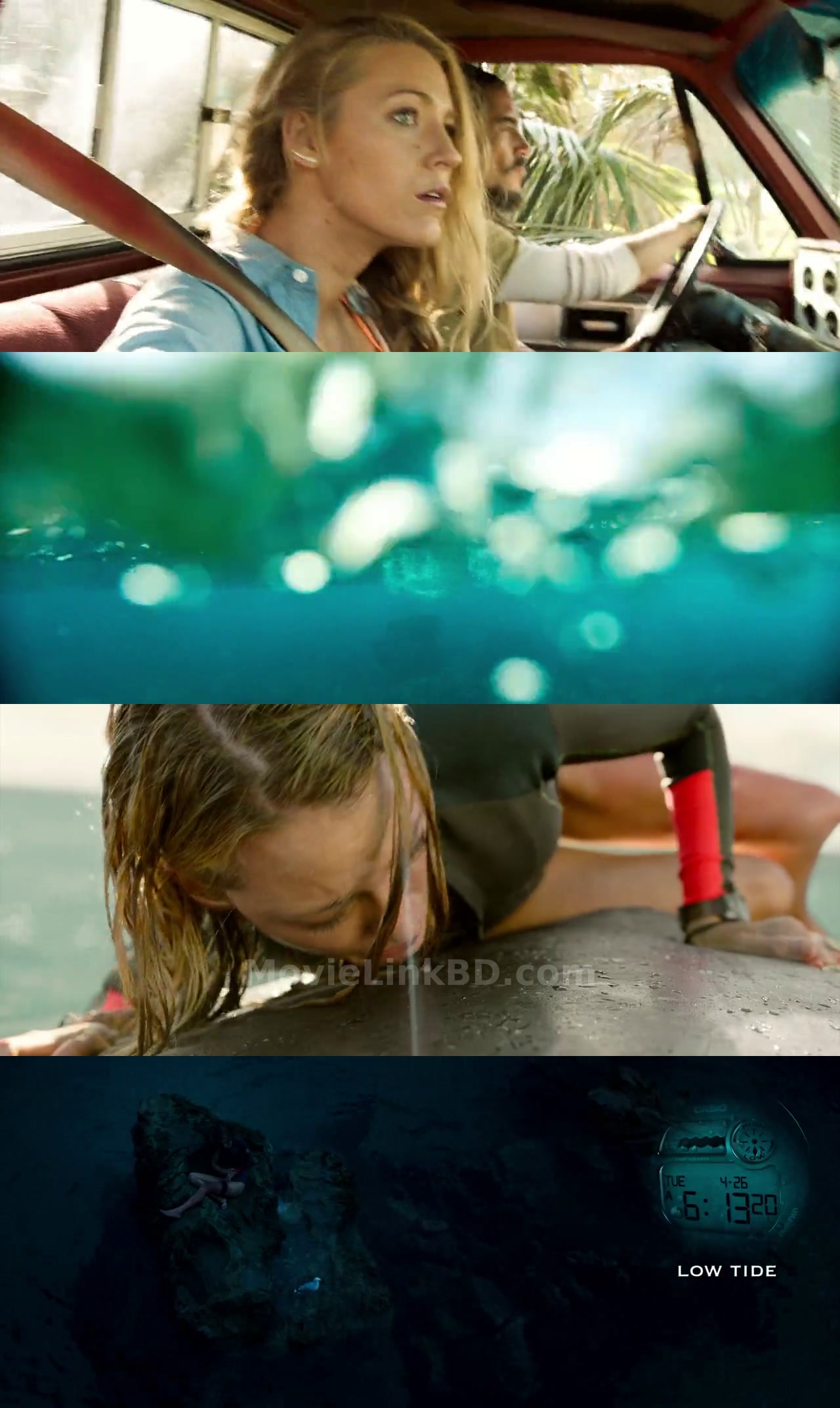 The Shallows (2016) &bull; Dual Audio on MovieLinkBD Movie