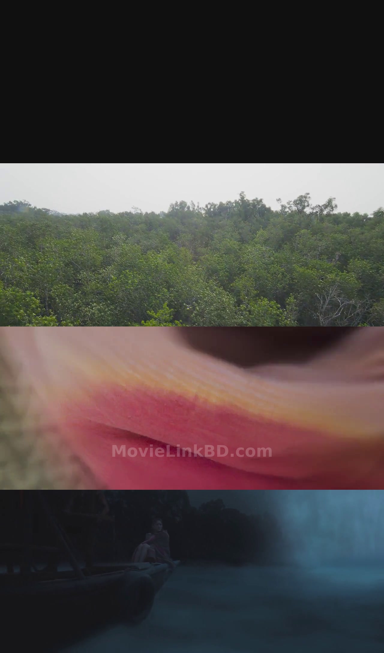 Roar (2014) &bull; Hindi, English, Dual Audio on MovieLinkBD Movie