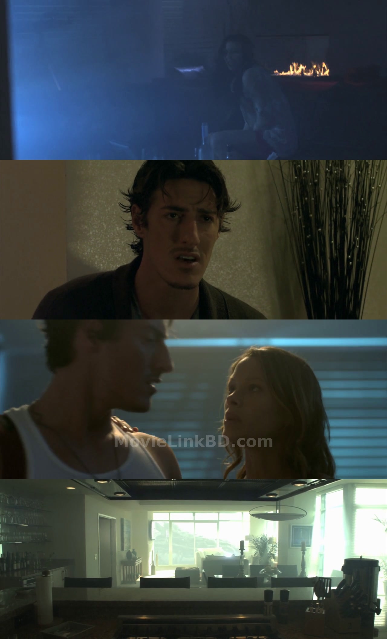 Skyline (2010) &bull; English + Hindi + Dual Audio on MovieLinkBD Movie