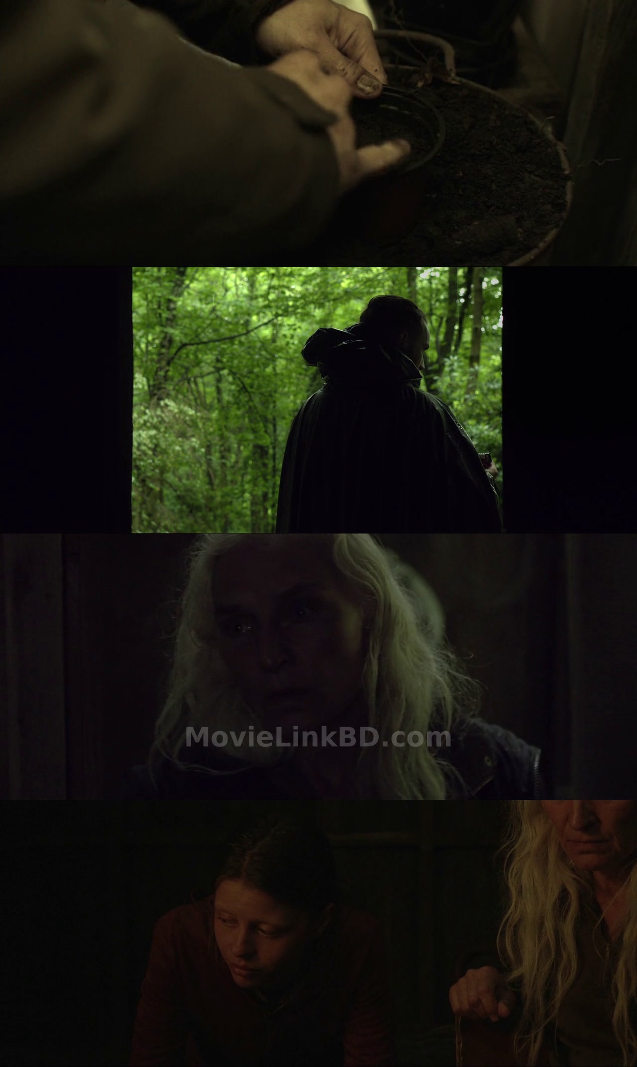 The Survivalist (2015) &bull; English on MovieLinkBD Movie