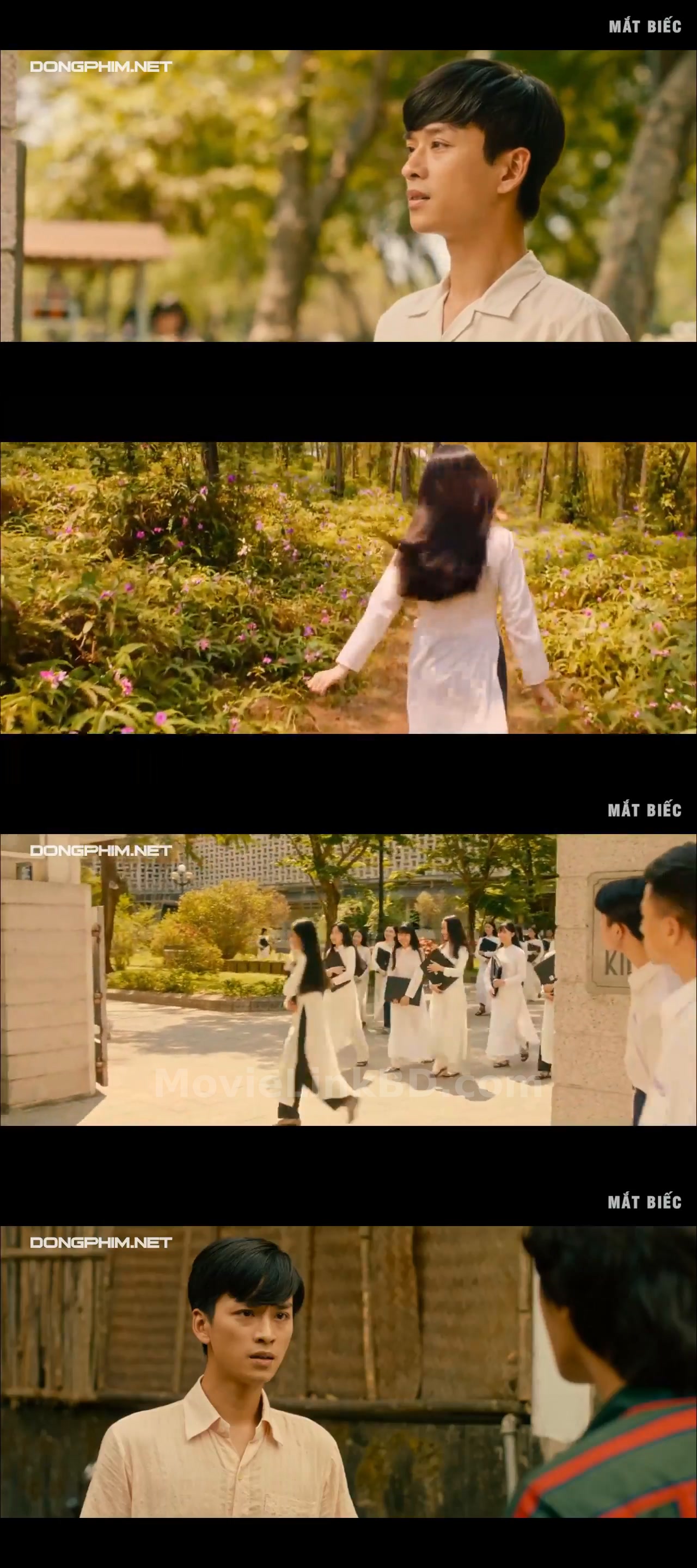 Dreamy Eyes (2019) &bull; Vietnamese on MovieLinkBD Movie