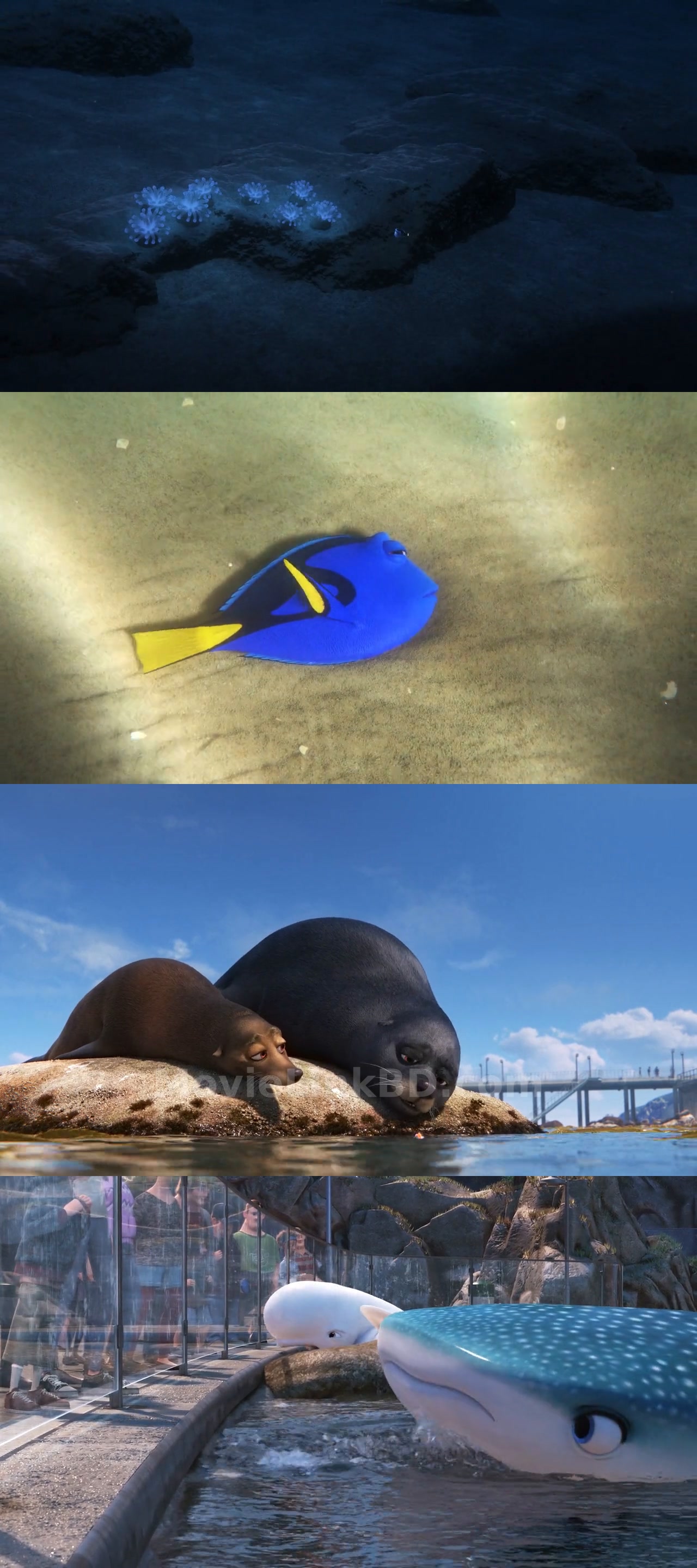 Finding Dory (2016) &bull; Hindi, English Dual Audio on MovieLinkBD Movie