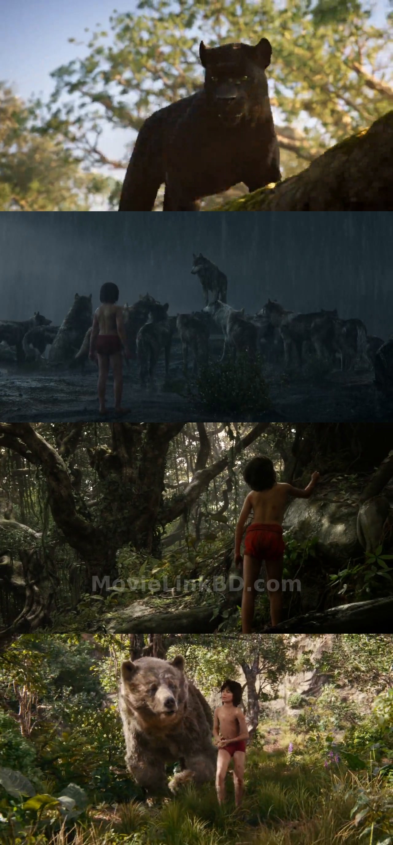 The Jungle Book (2016) Hindi Download | MovieLinkBD TV Movie