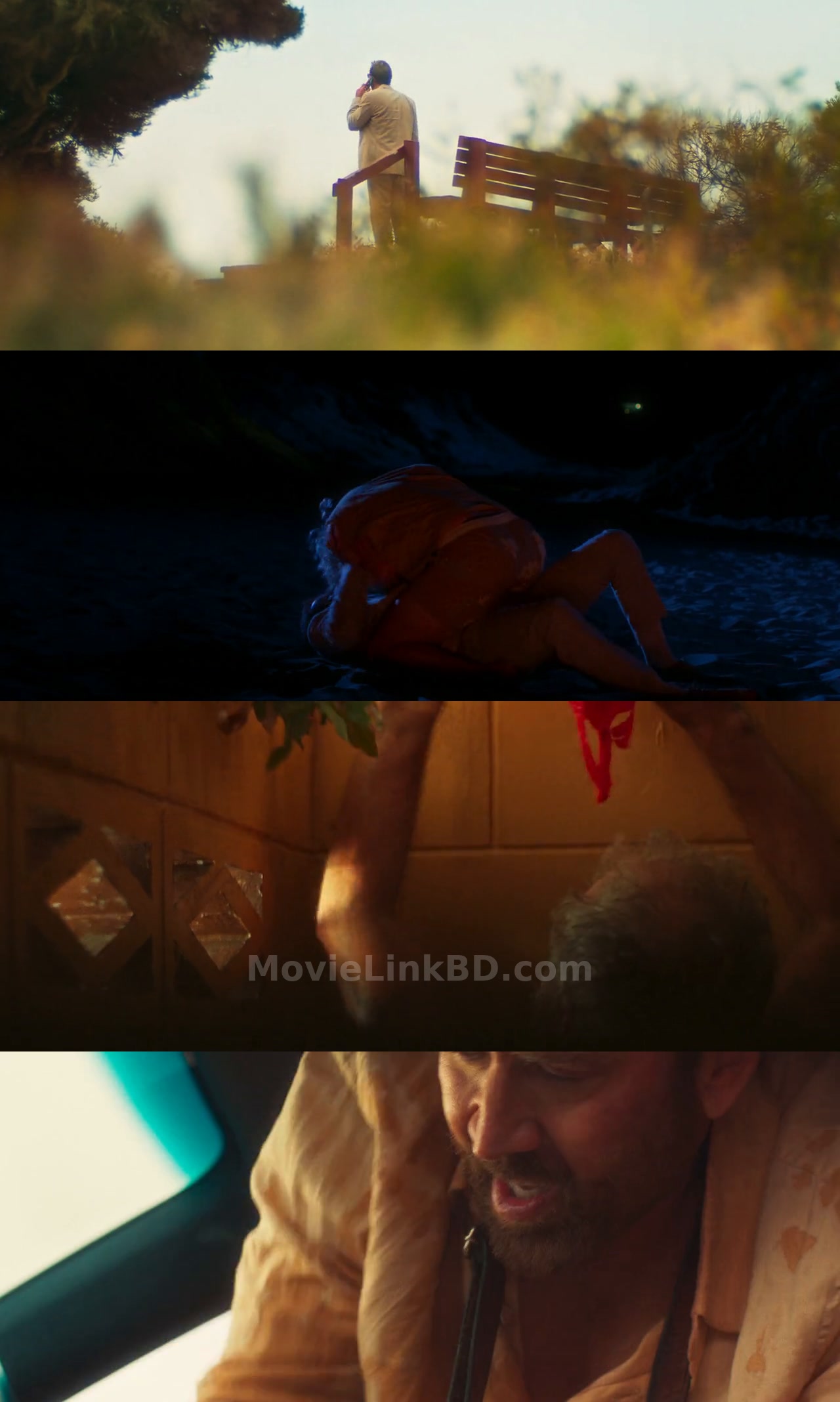 The Surfer (2025) &bull; English on MovieLinkBD Movie