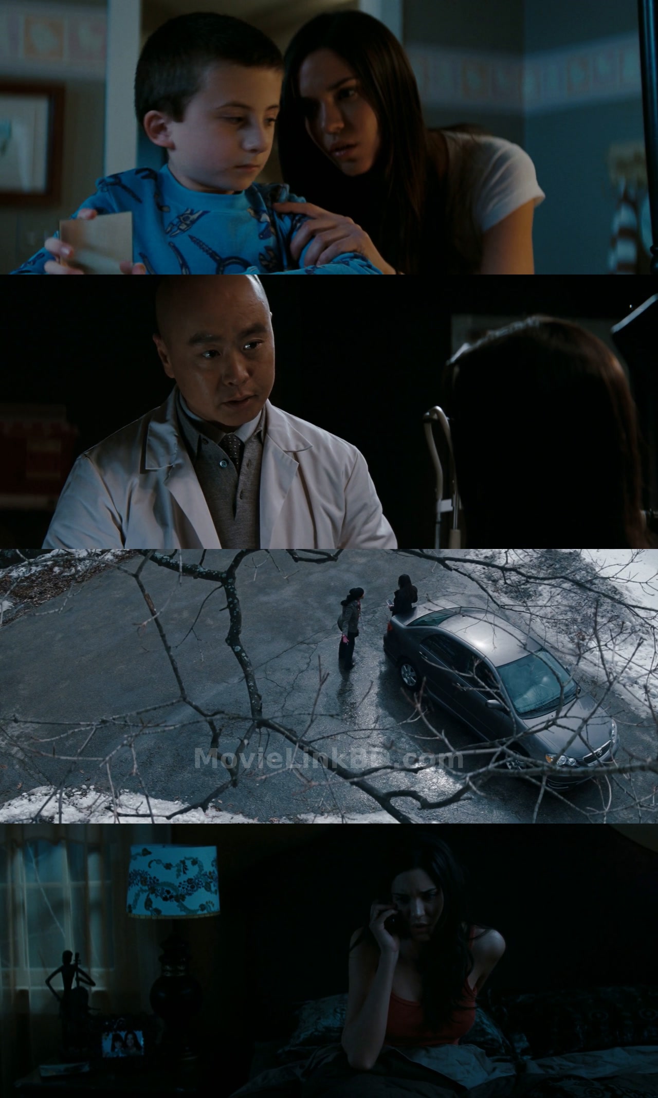 The Unborn  [ORG Hindi] (2009) &bull; Hindi, English Dual Audio on MovieLinkBD Movie