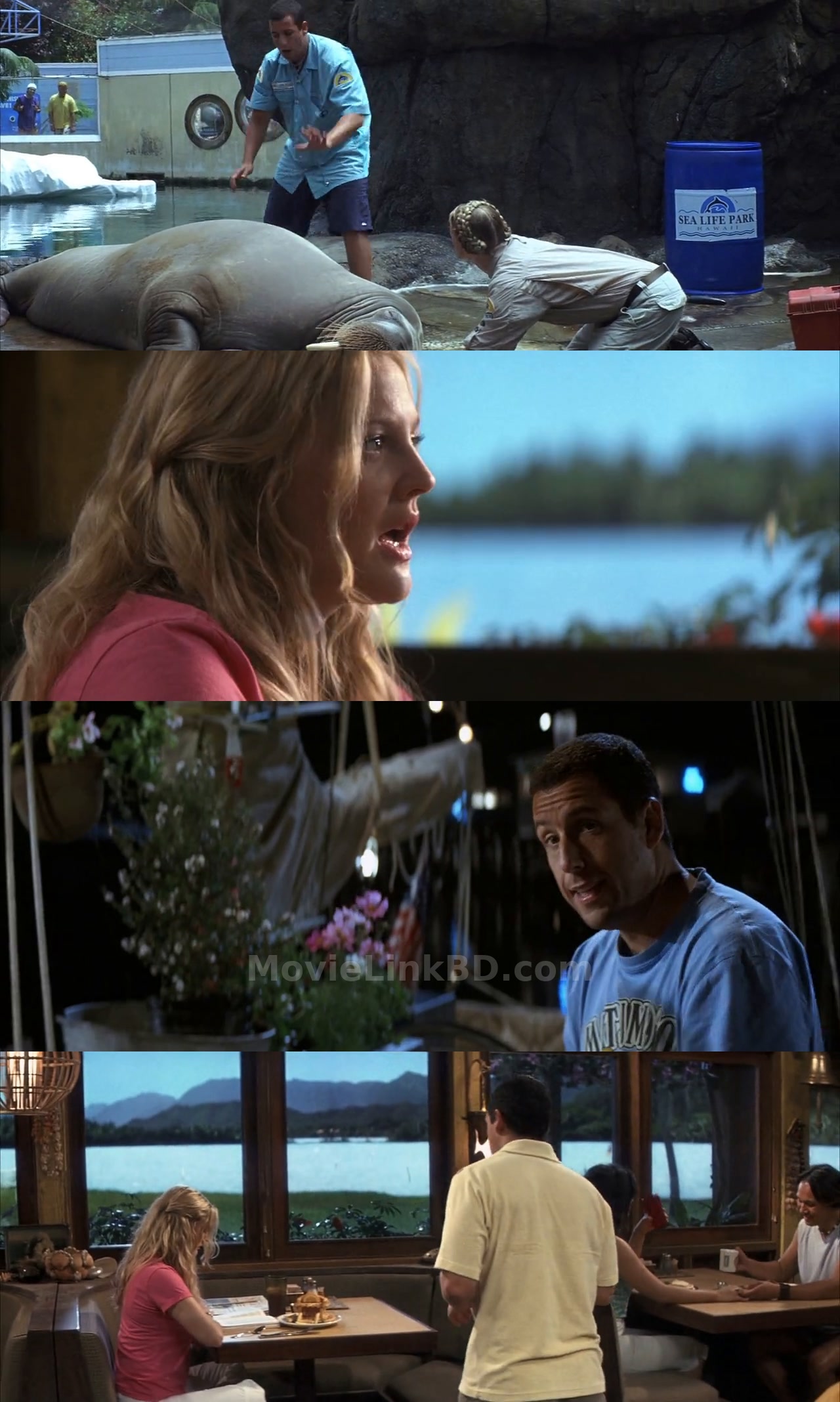 50 First Dates (2004) &bull; English + Hindi on MovieLinkBD Movie