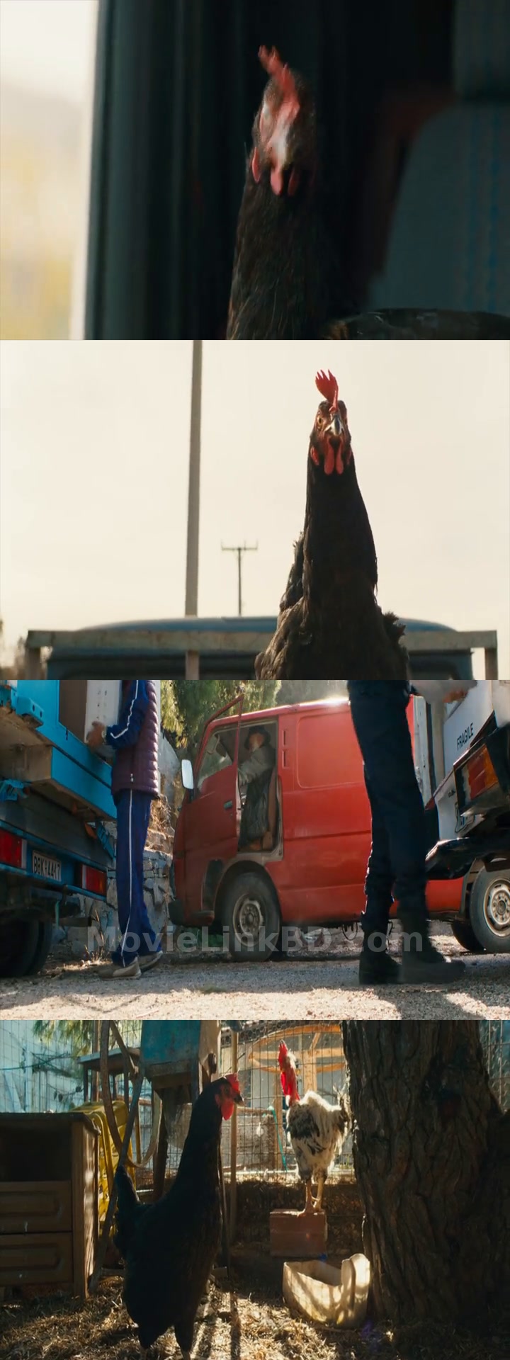 Hen  Full HD Hindi ORG (2026) &bull; Hindi Dubbed on MovieLinkBD Movie