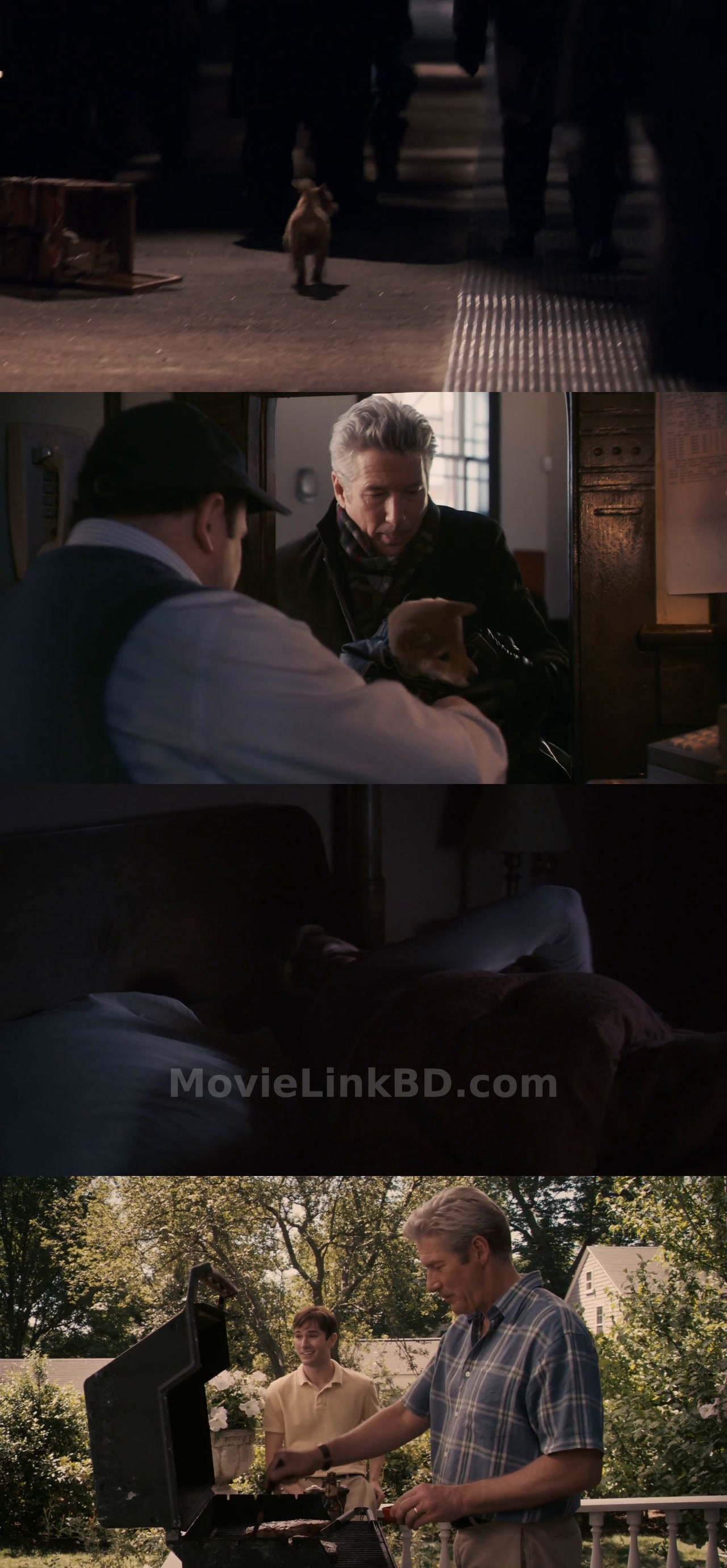Hachi: A Dog's Tale  [ORG Hindi] - Hachiko (2009) &bull; Hindi, English on MovieLinkBD Movie