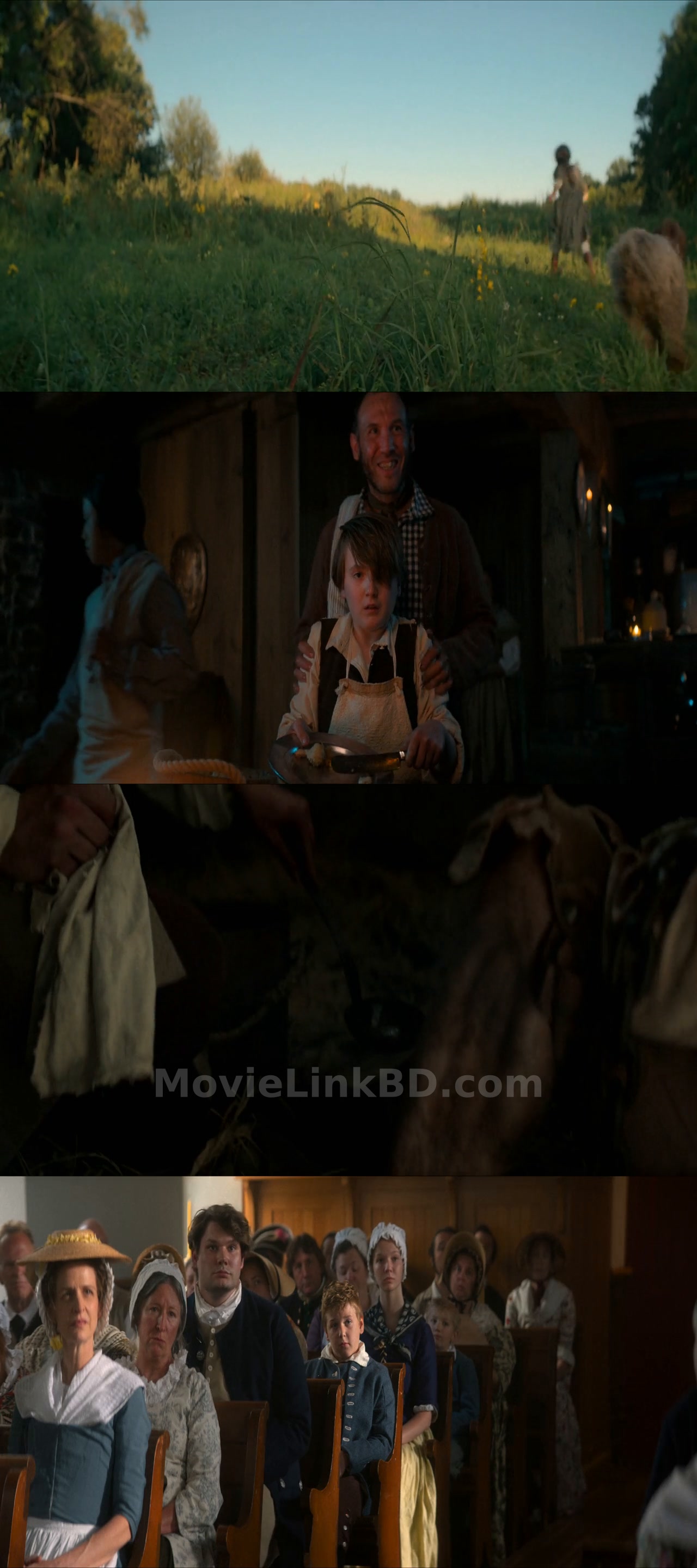 A Great Awakening (2026) &bull; Hindi + English on MovieLinkBD Movie