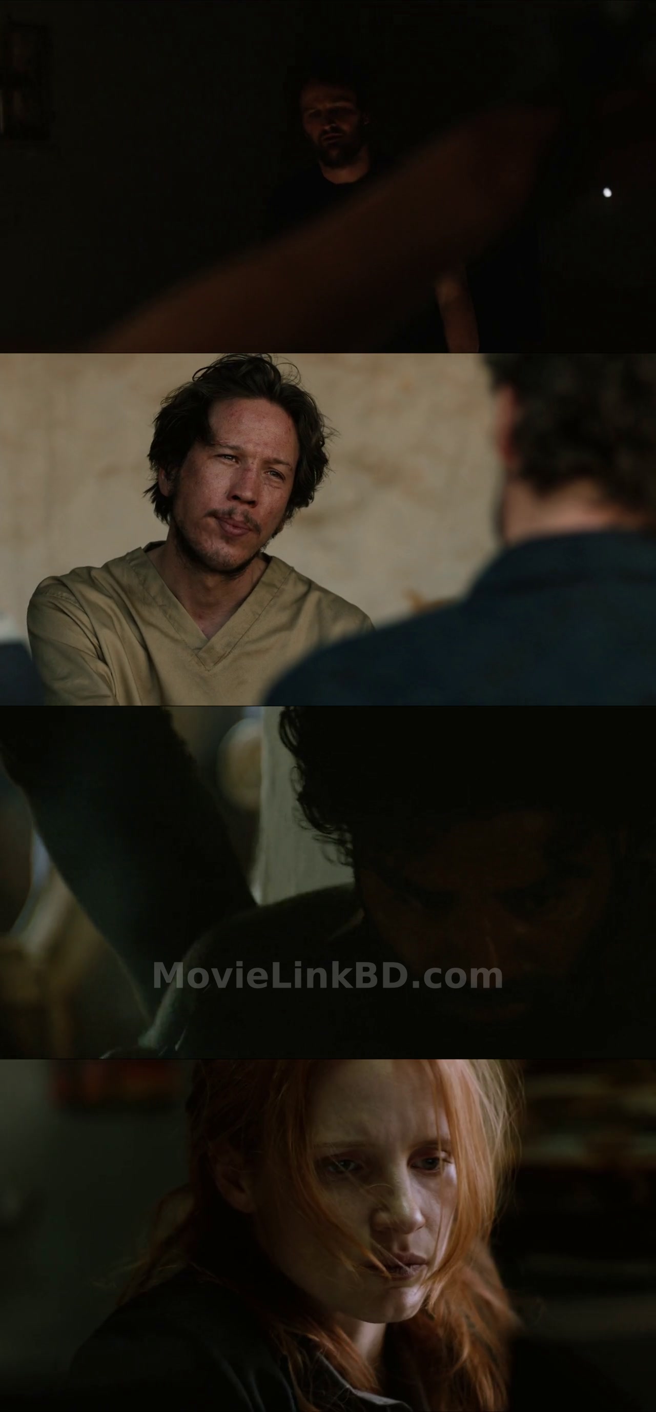 Zero Dark Thirty (2012) Dual Audio Download | MovieLinkBD TV Movie