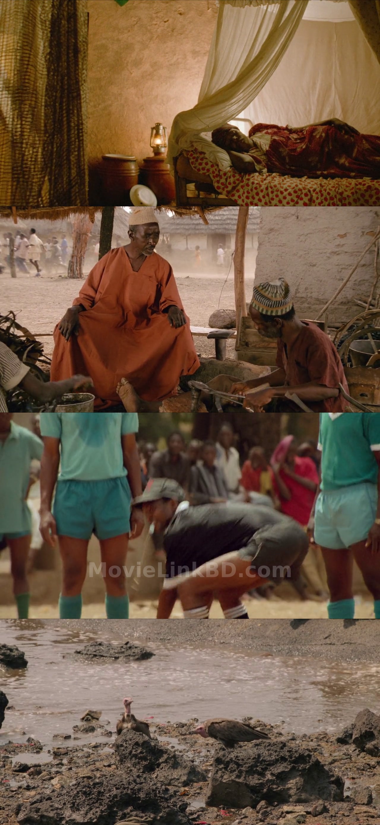 The Golden Ball (1994) &bull; Others on MovieLinkBD Movie
