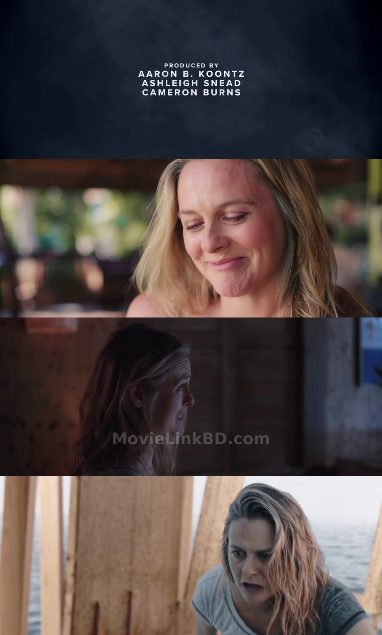 The Requin (2022) English Download | MovieLinkBD TV Movie