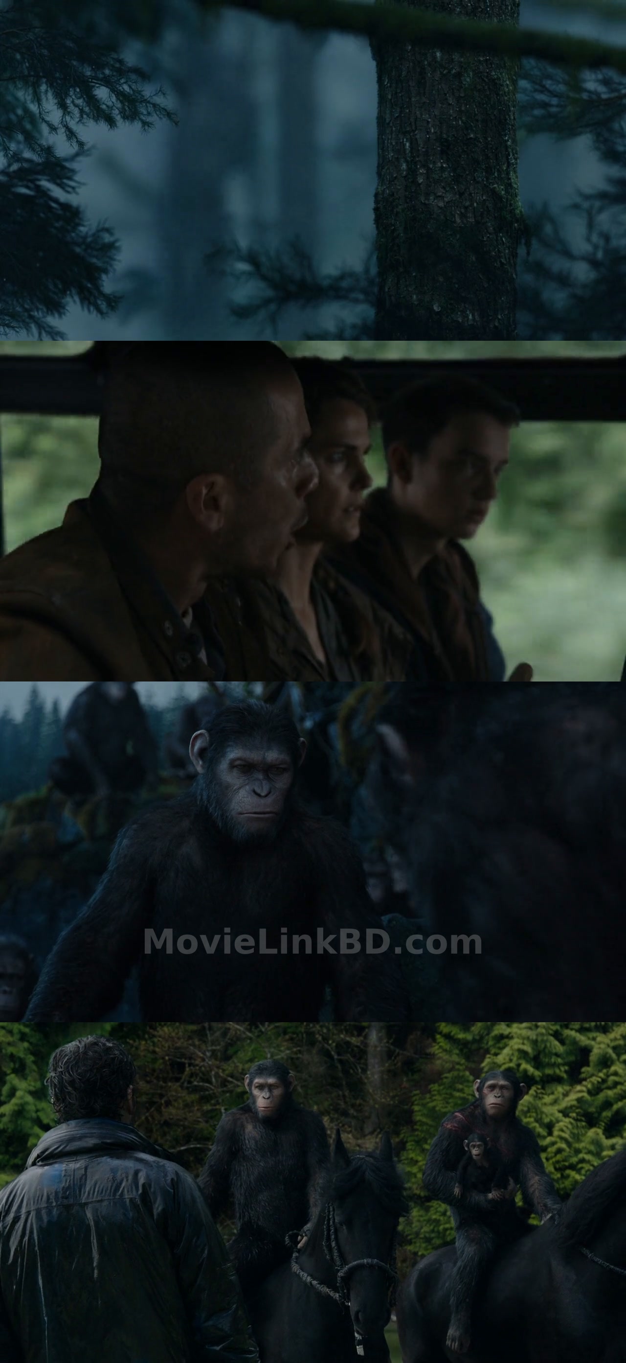 Dawn of the Planet of the Apes (2014) English Download | MovieLinkBD TV Movie