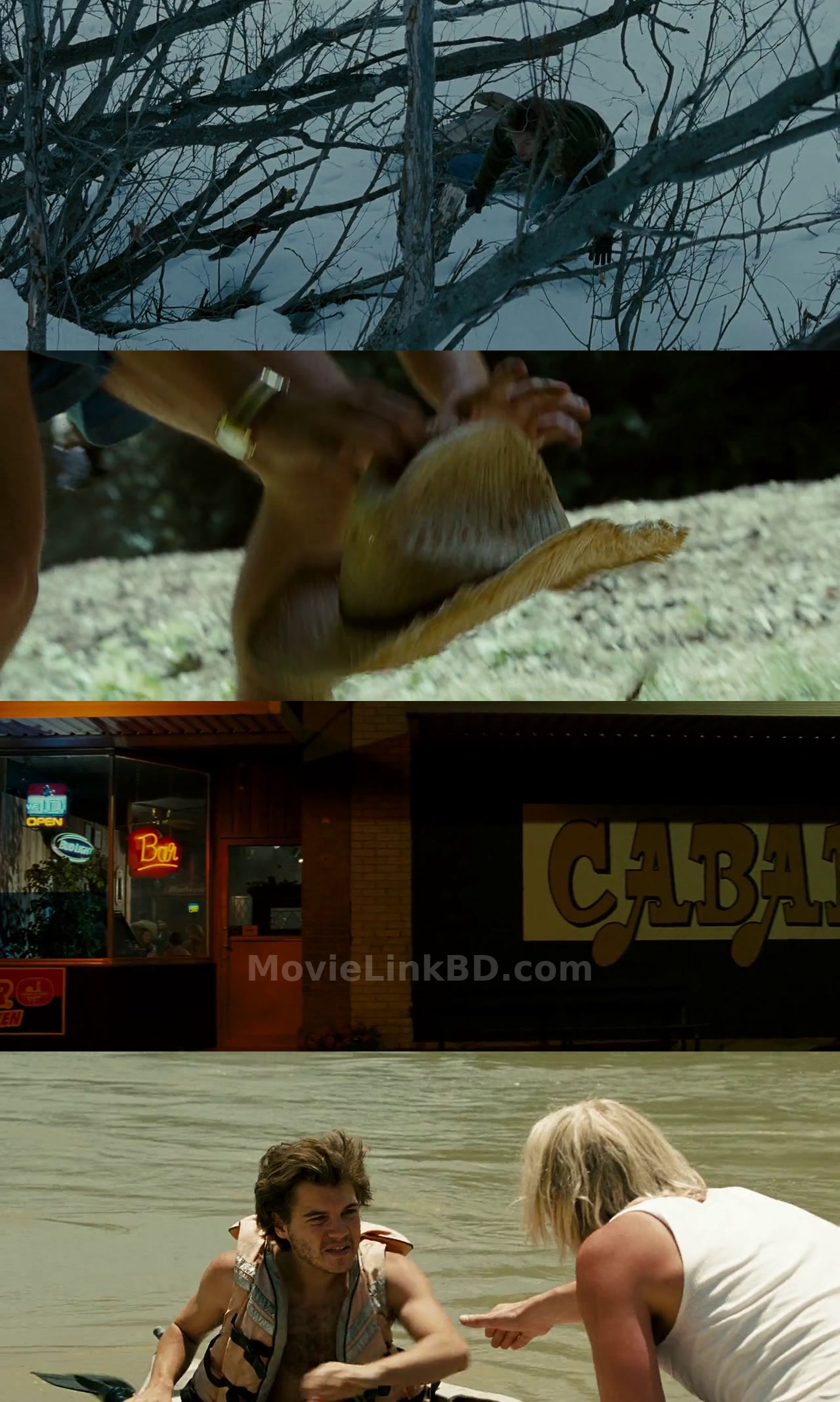 Into the Wild (2007) &bull; Hindi, English, Dual Audio on MovieLinkBD Movie