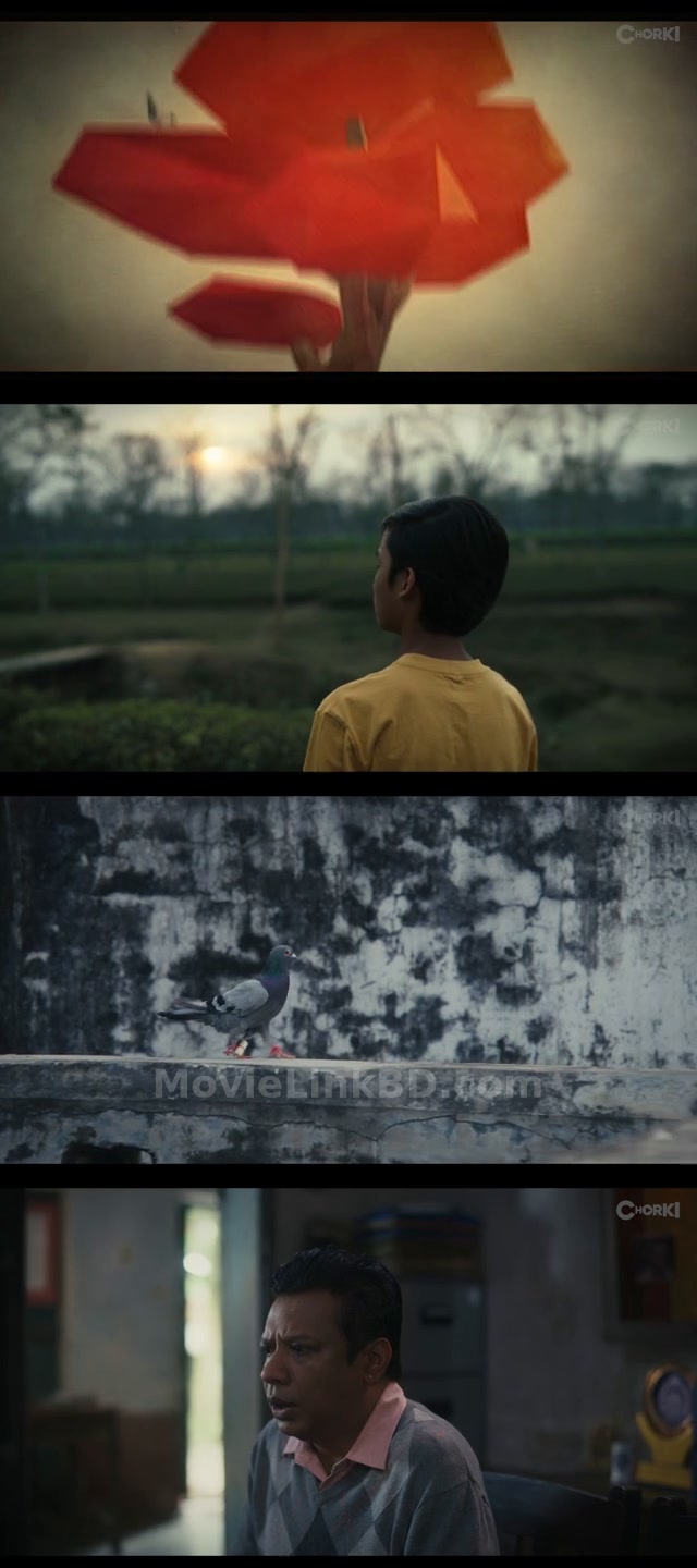 Gulmohor  Season 1 Completed (2025) &bull; Bangla on MovieLinkBD Series