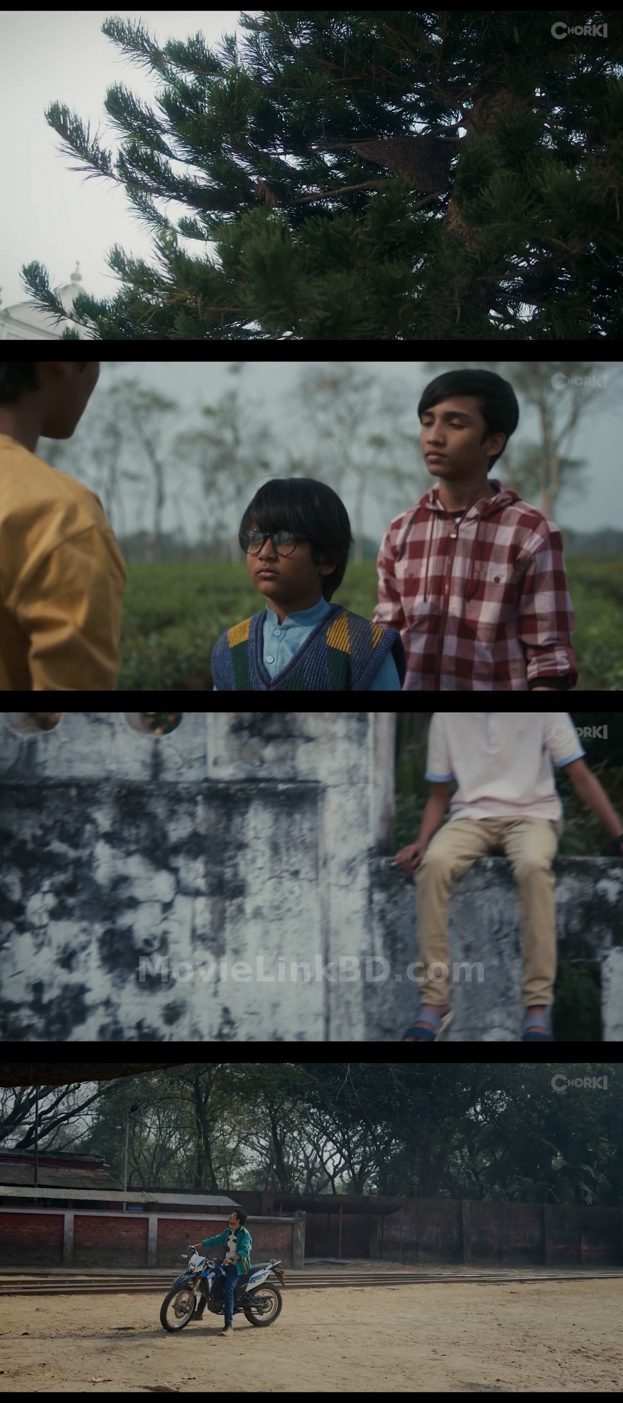 Gulmohor  Season 1 Completed (2025) &bull; Bangla on MovieLinkBD Series