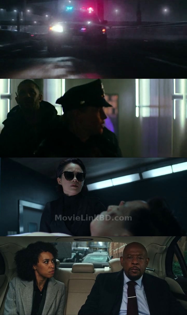 Havoc (2025) Hindi Download | MovieLinkBD TV Movie