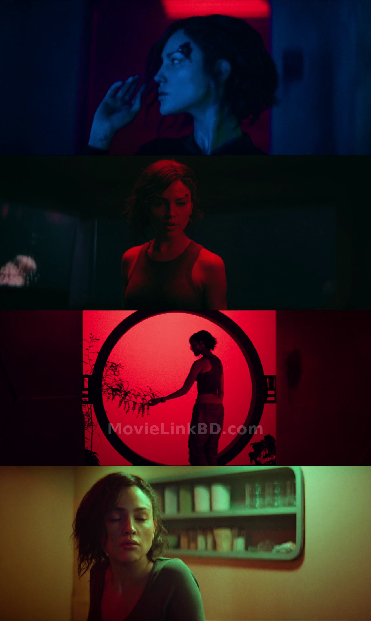 Ash  [ORG Hindi] (2025) &bull; Hindi, English Dual Audio on MovieLinkBD Movie