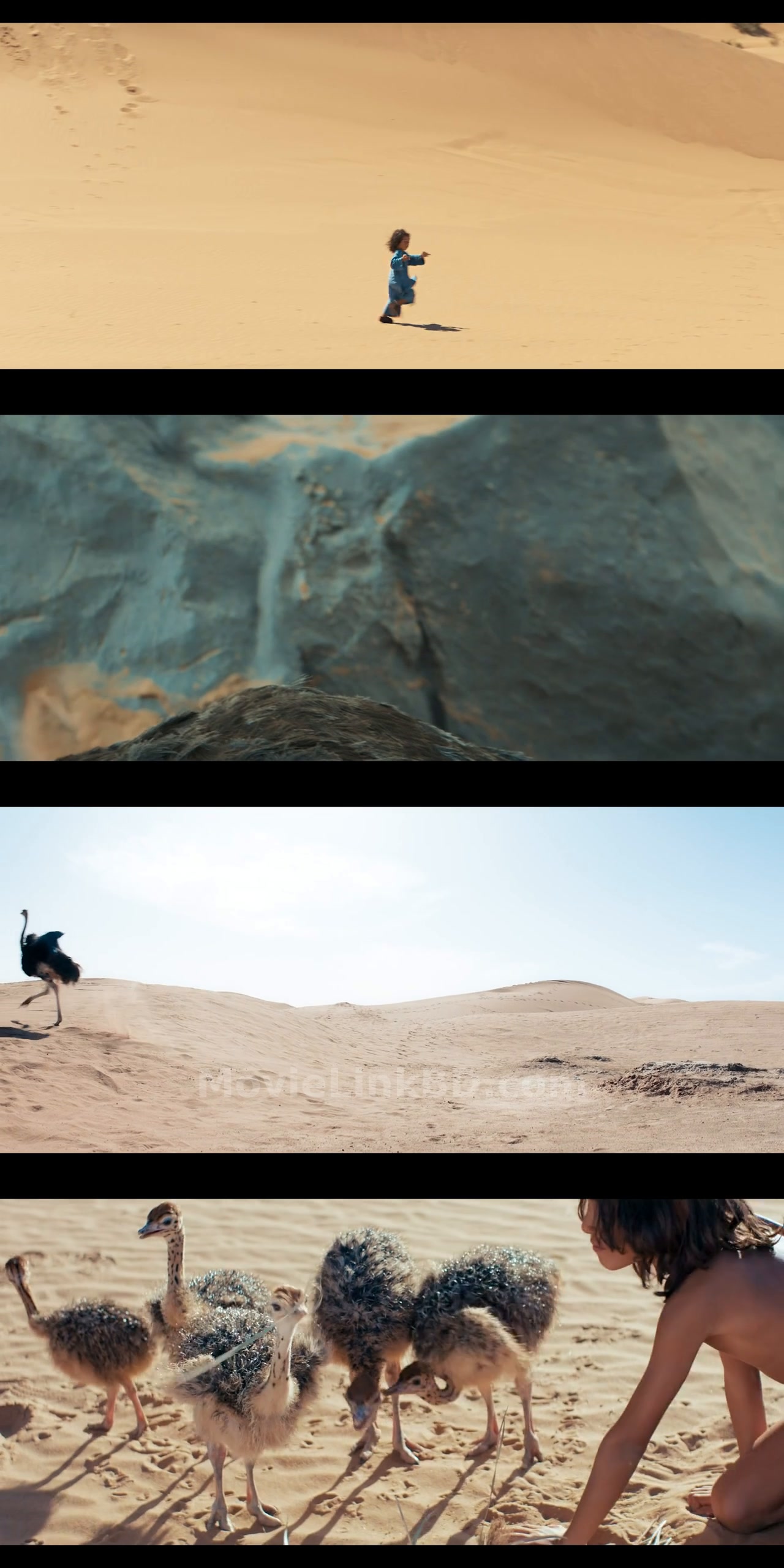 The Desert Child  Hindi ORG (2026) &bull; Hindi + English on MovieLinkBD Movie