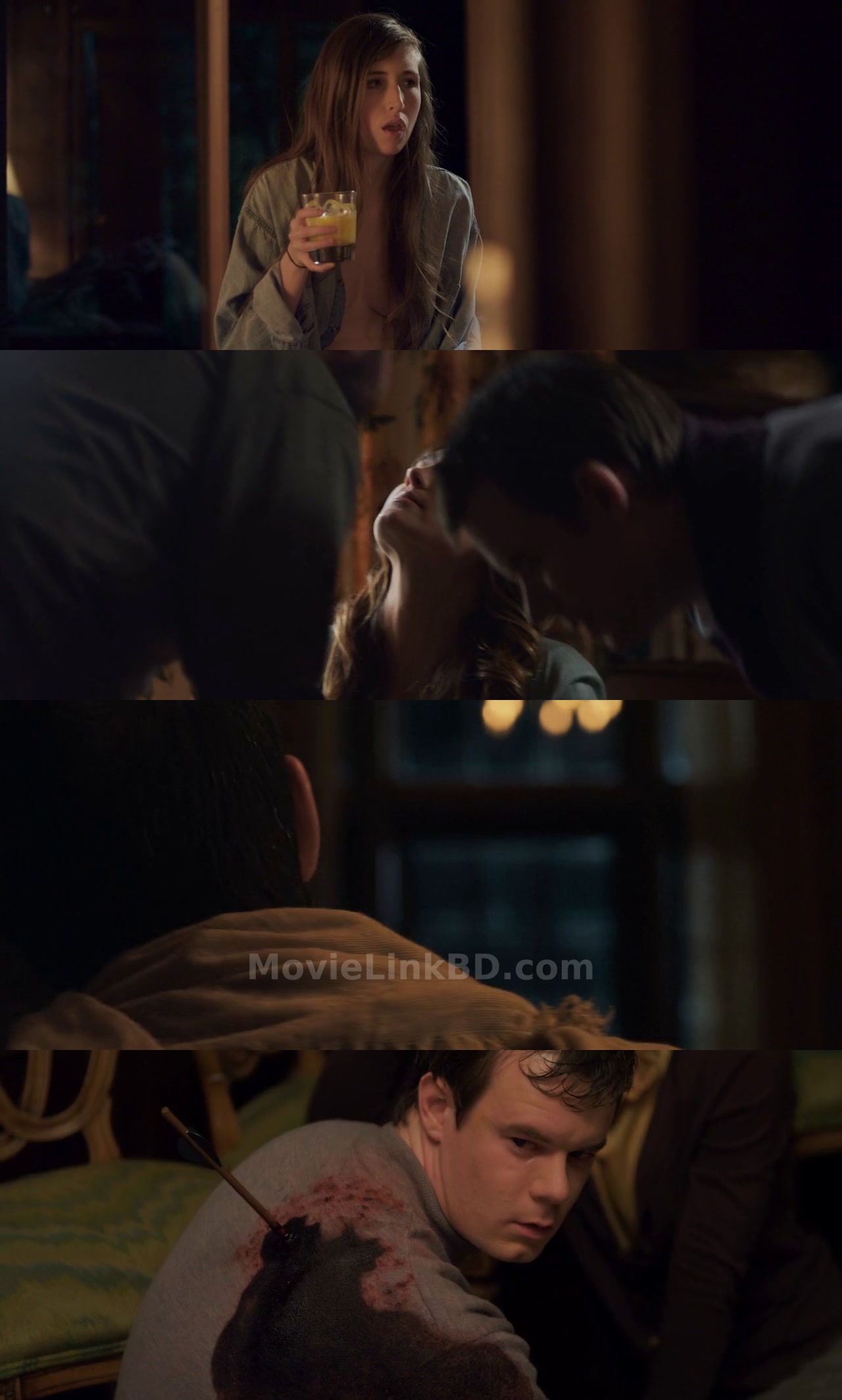 You're Next  - Hindi Not Available (2011) &bull; English on MovieLinkBD Movie
