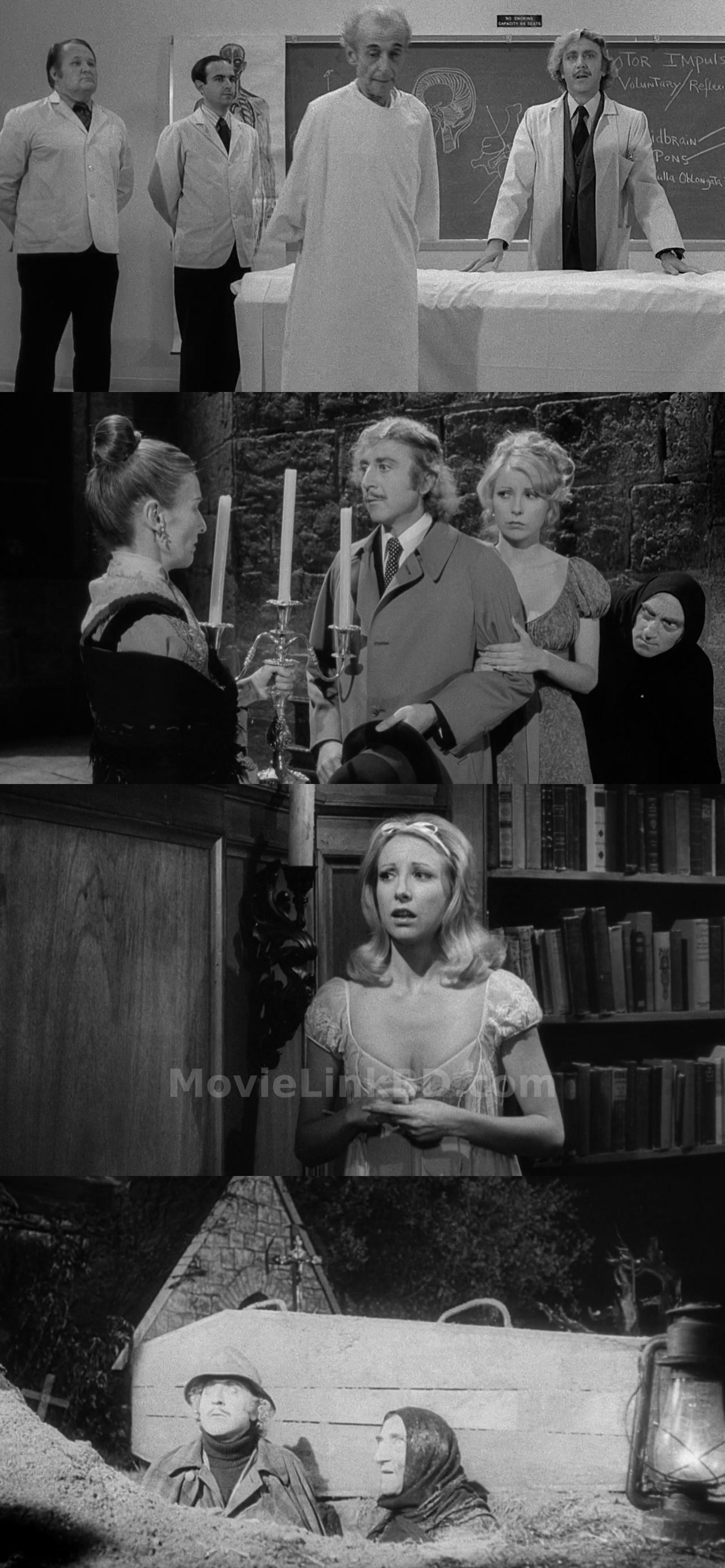Young Frankenstein (1974) &bull; English on MovieLinkBD Movie