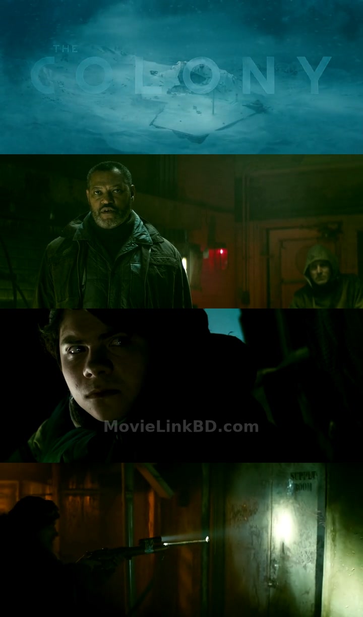 The Colony (2013) Hindi Download | MovieLinkBD TV Movie